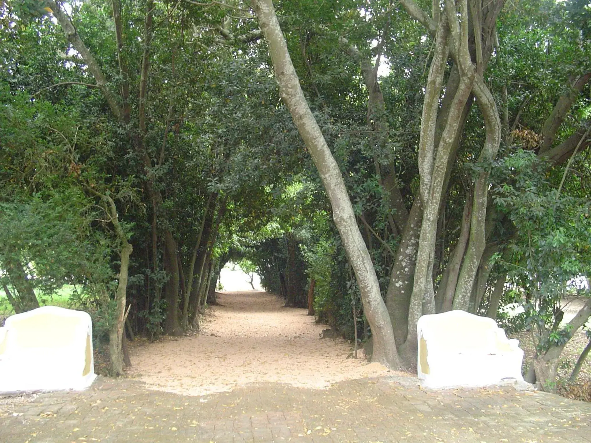 Garden in Hotel Rural Quinta de Santo Antonio