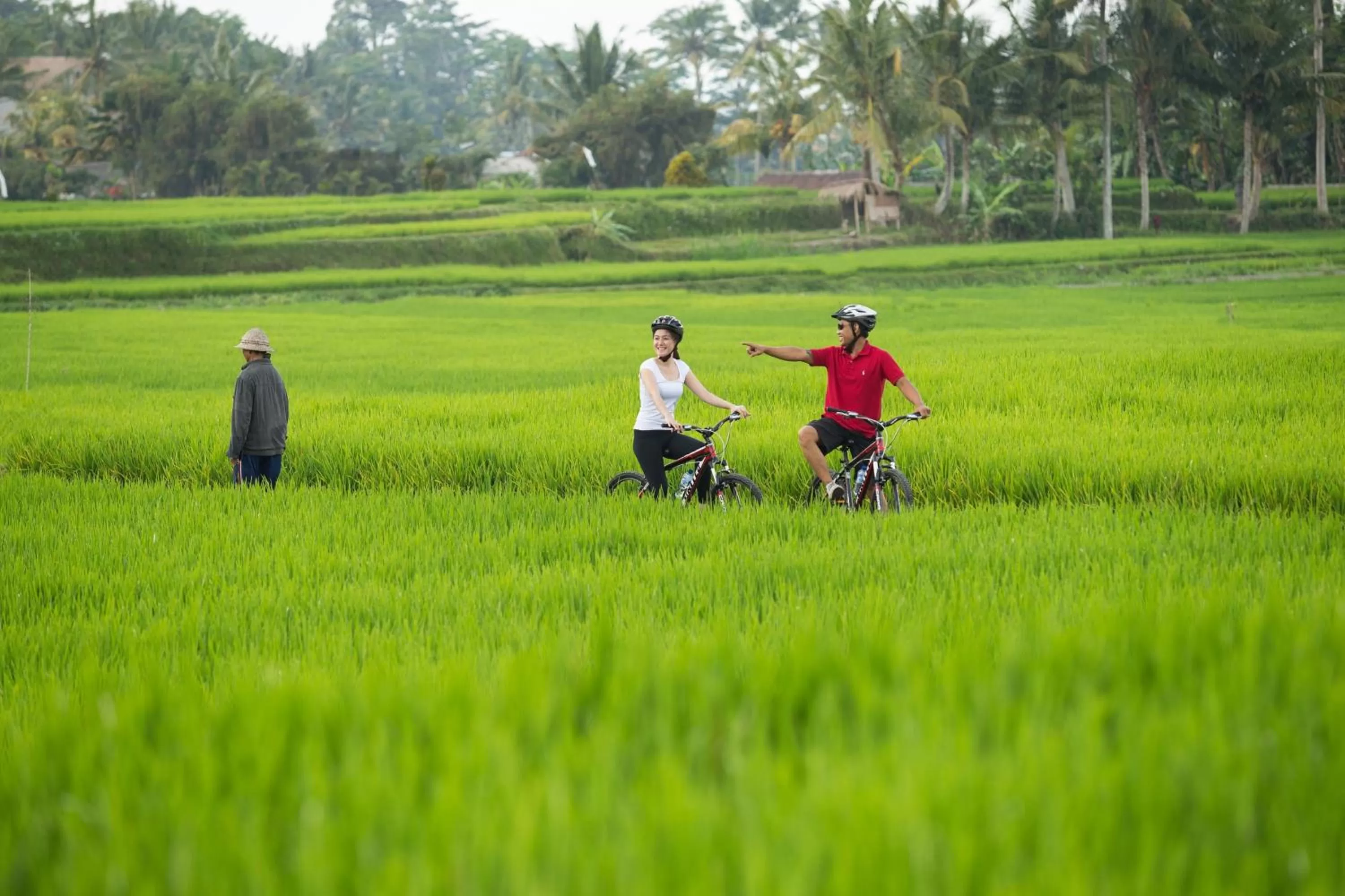 Sports in Dwaraka The Royal Villas