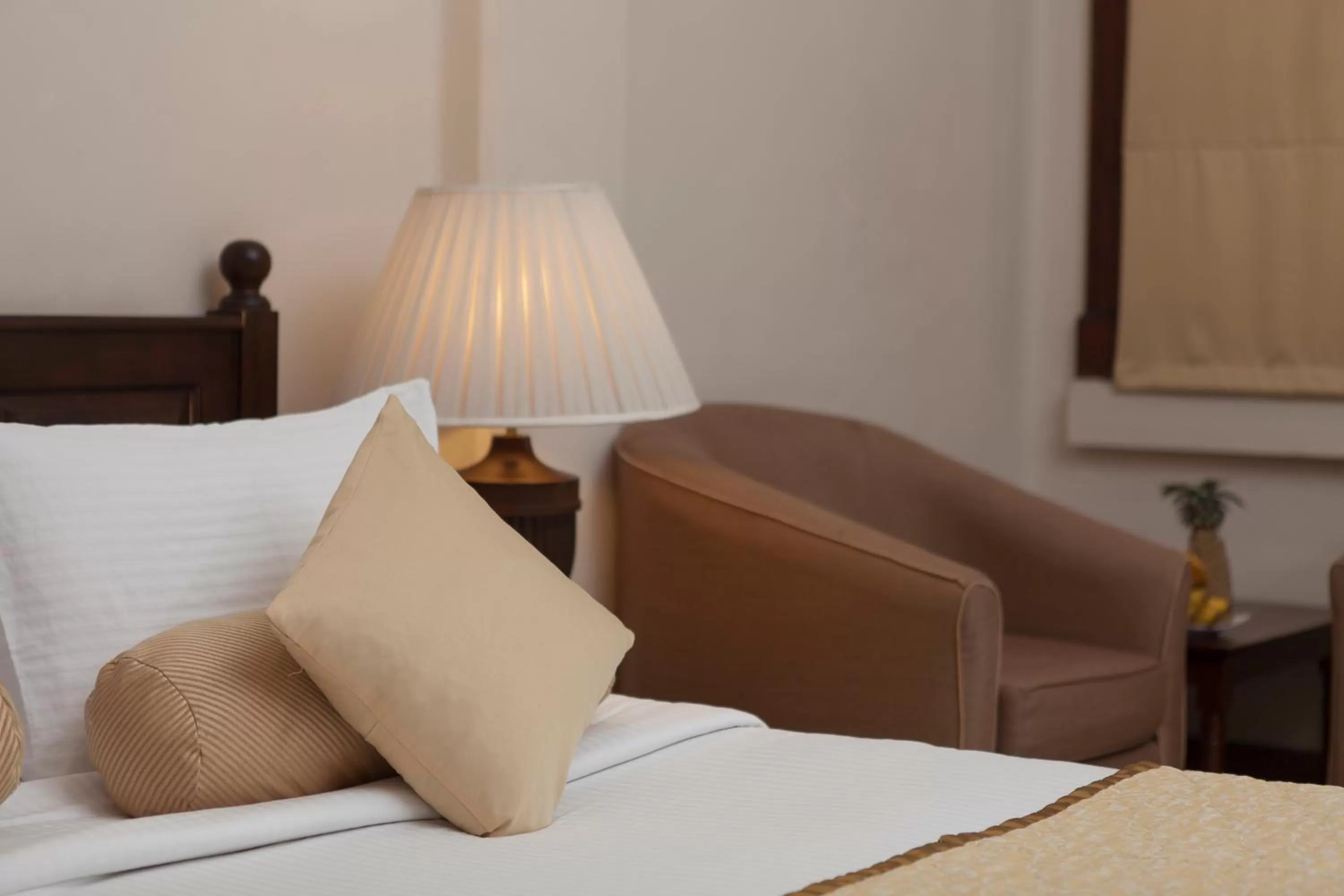 Super Deluxe Room in Hotel Suisse