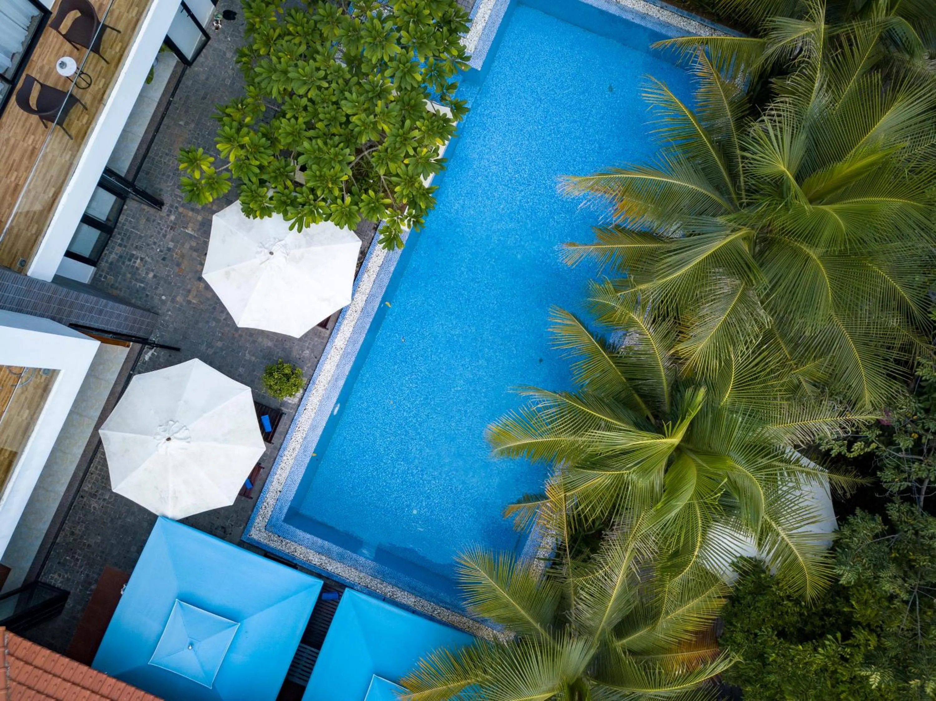 Swimming pool in Hoi An Reverie Villas