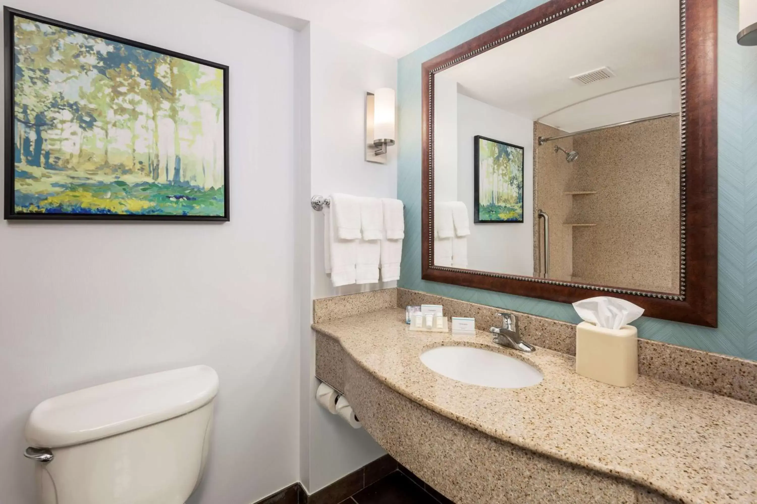 Bathroom in Hilton Garden Inn Lafayette/Cajundome