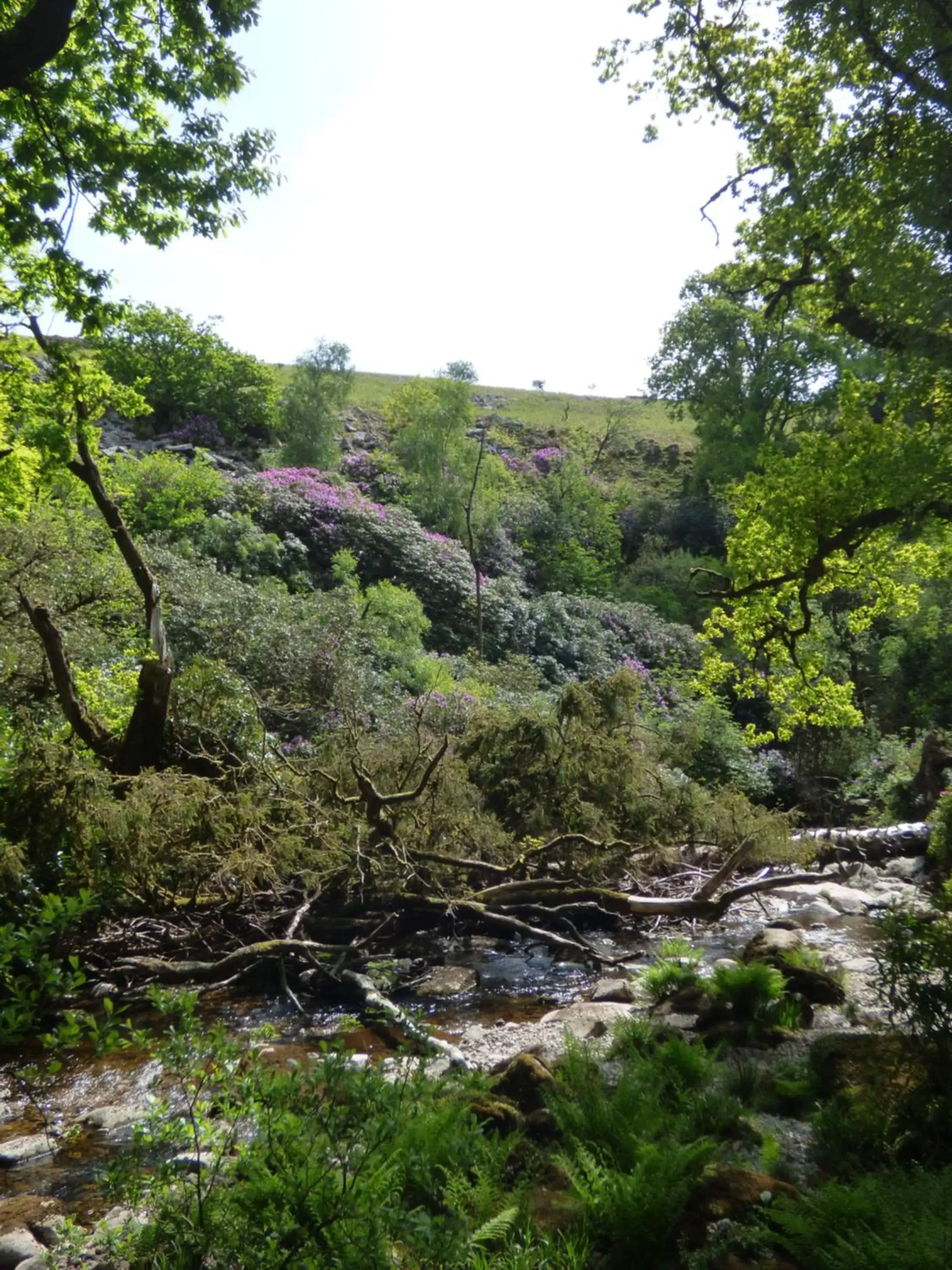 Location, Natural Landscape in Park View R & R