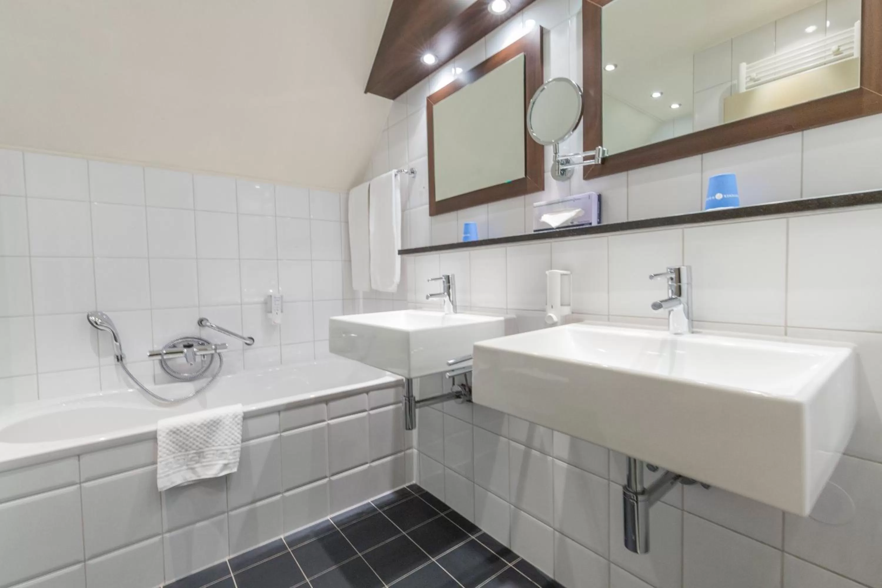 Bathroom in Fletcher Hotel-Restaurant Kasteel Erenstein