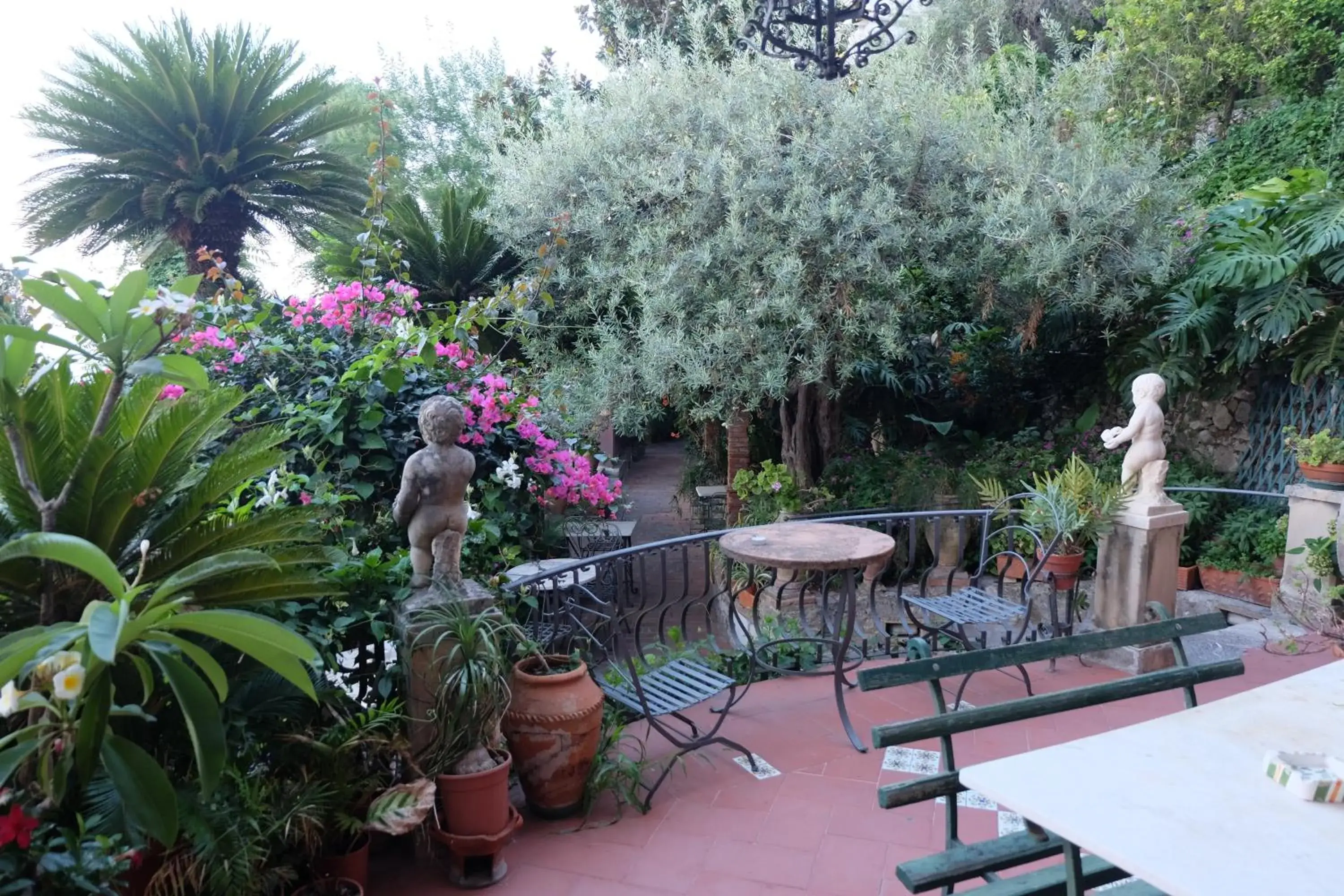 Garden in Hotel Villa Nettuno