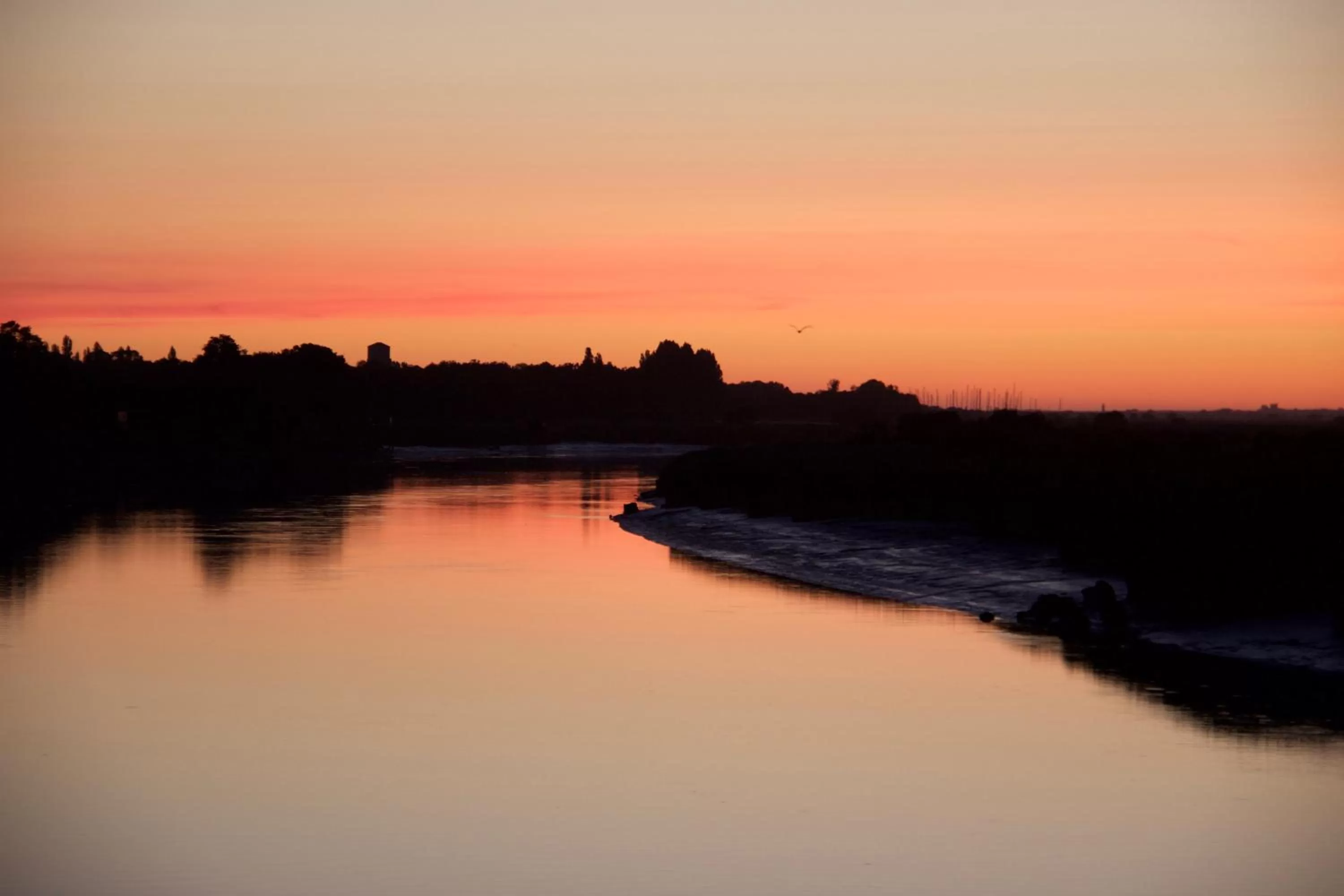 View (from property/room) in La Charentine