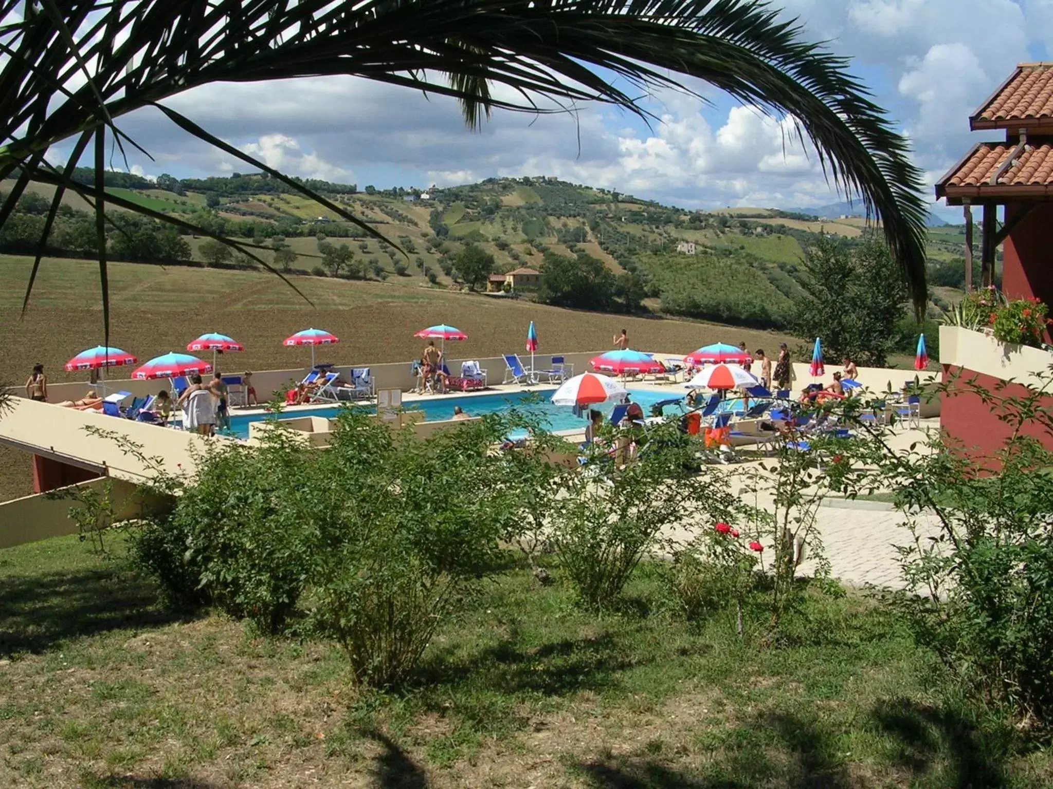 Garden, Pool View in Fattoria Cerreto