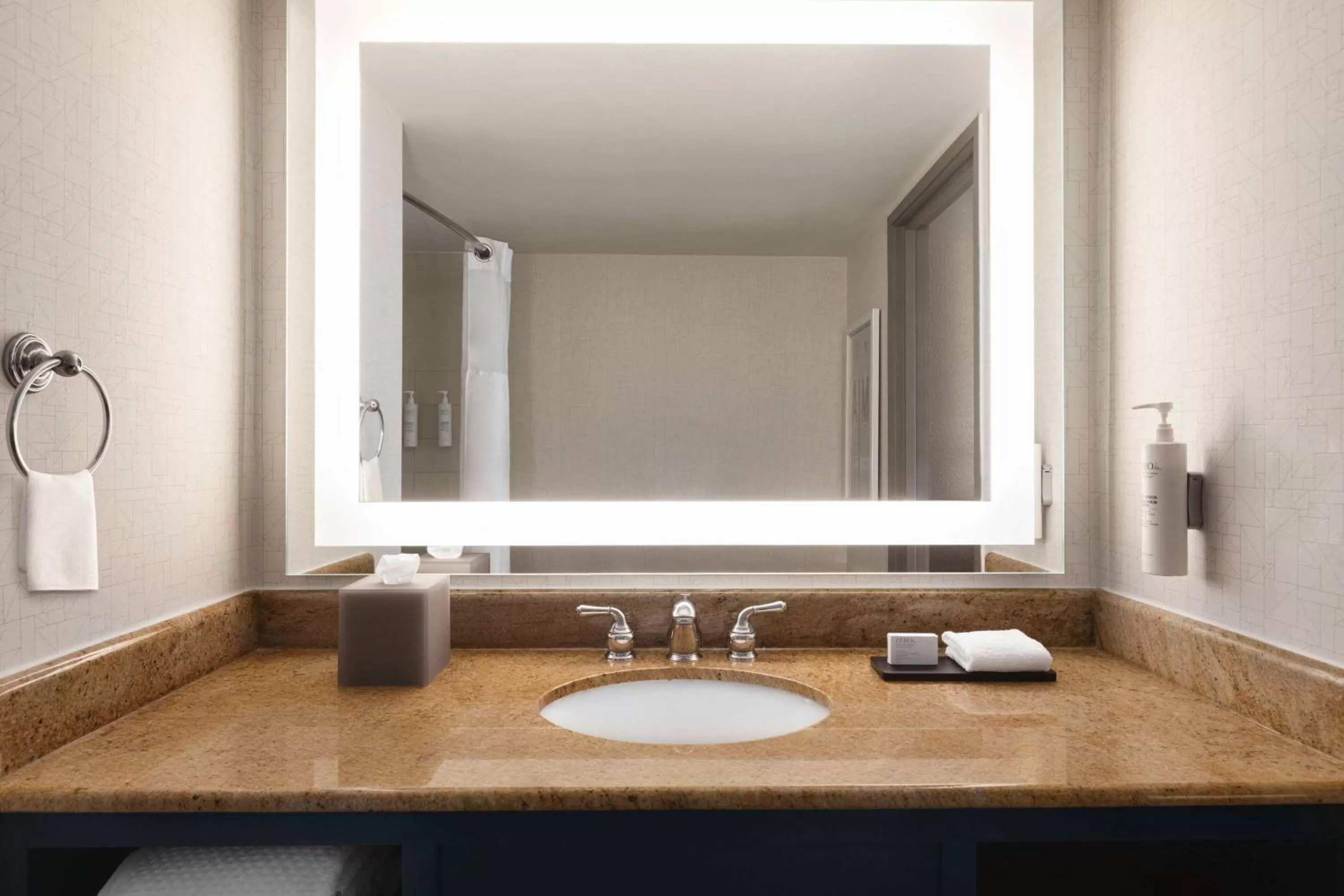 Bathroom in Embassy Suites by Hilton Miami International Airport