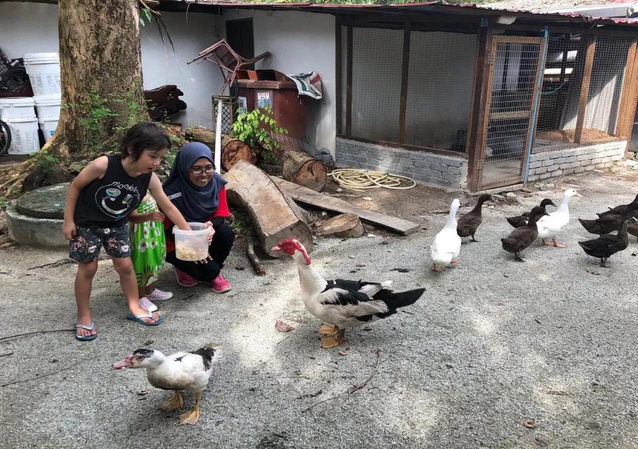 Day in Frangipani Langkawi Resort