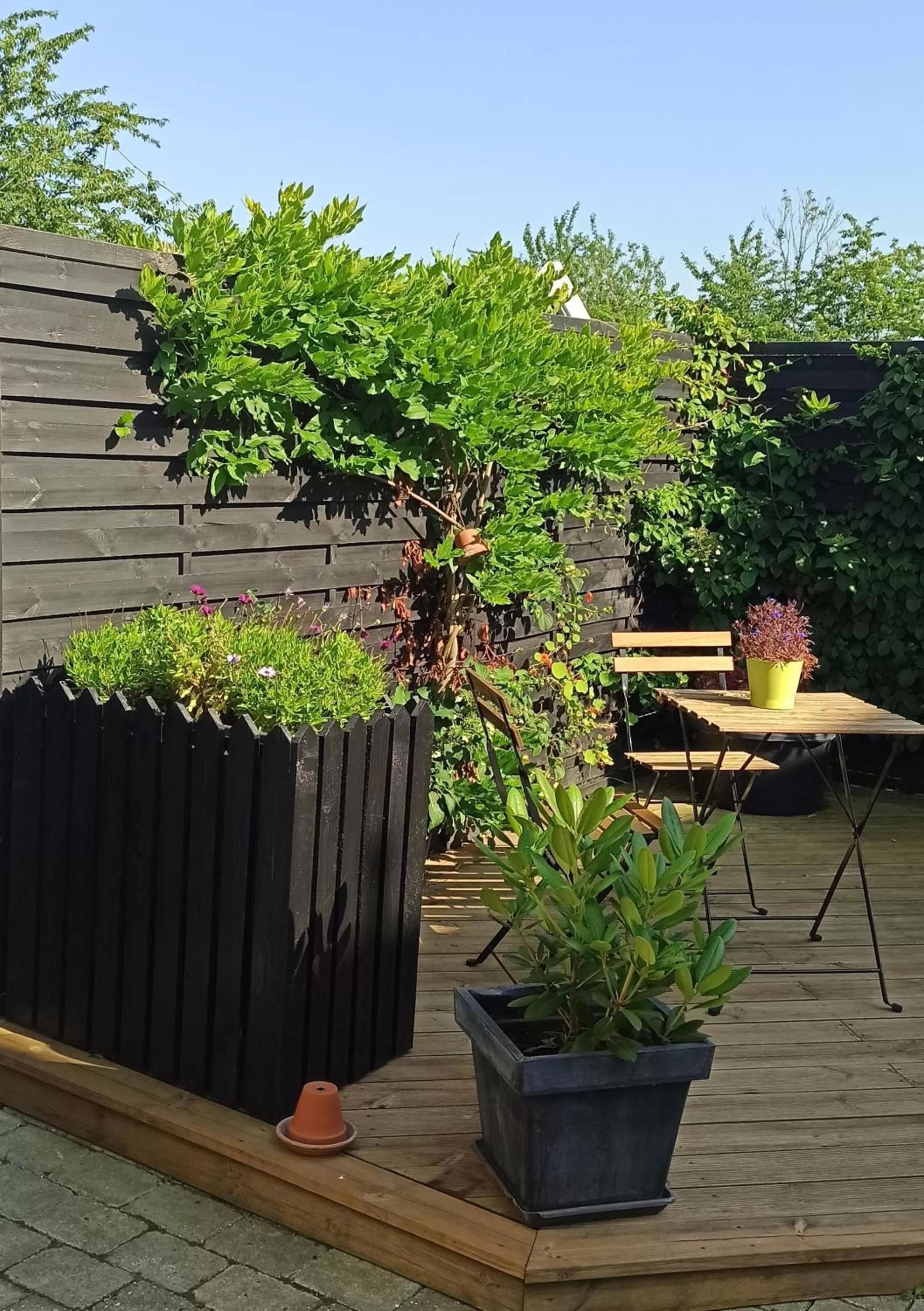 Dragondrum Bed & Breakfast