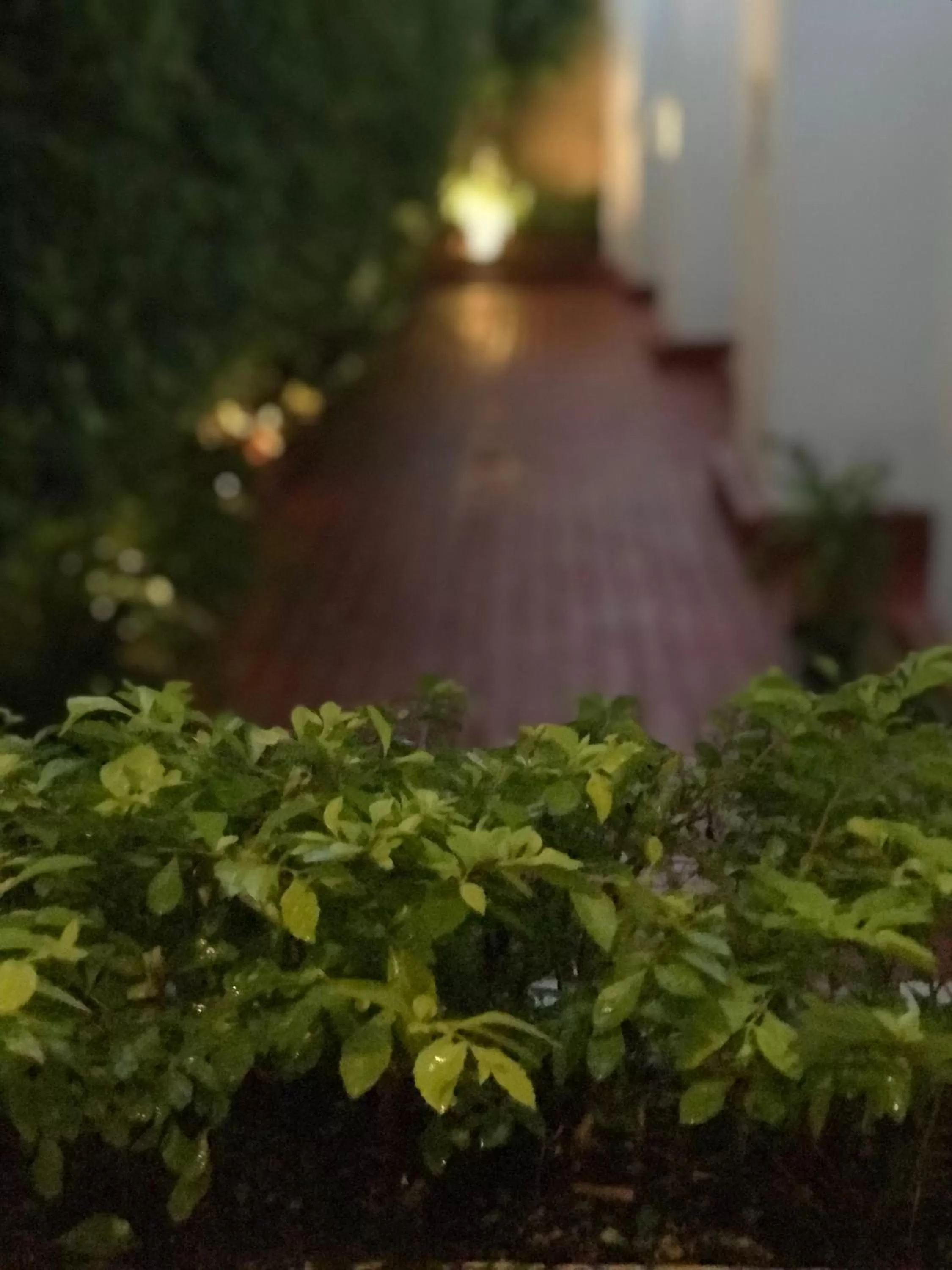 Balcony/Terrace in Hotel Emperador centro Guadalajara y Remodelado