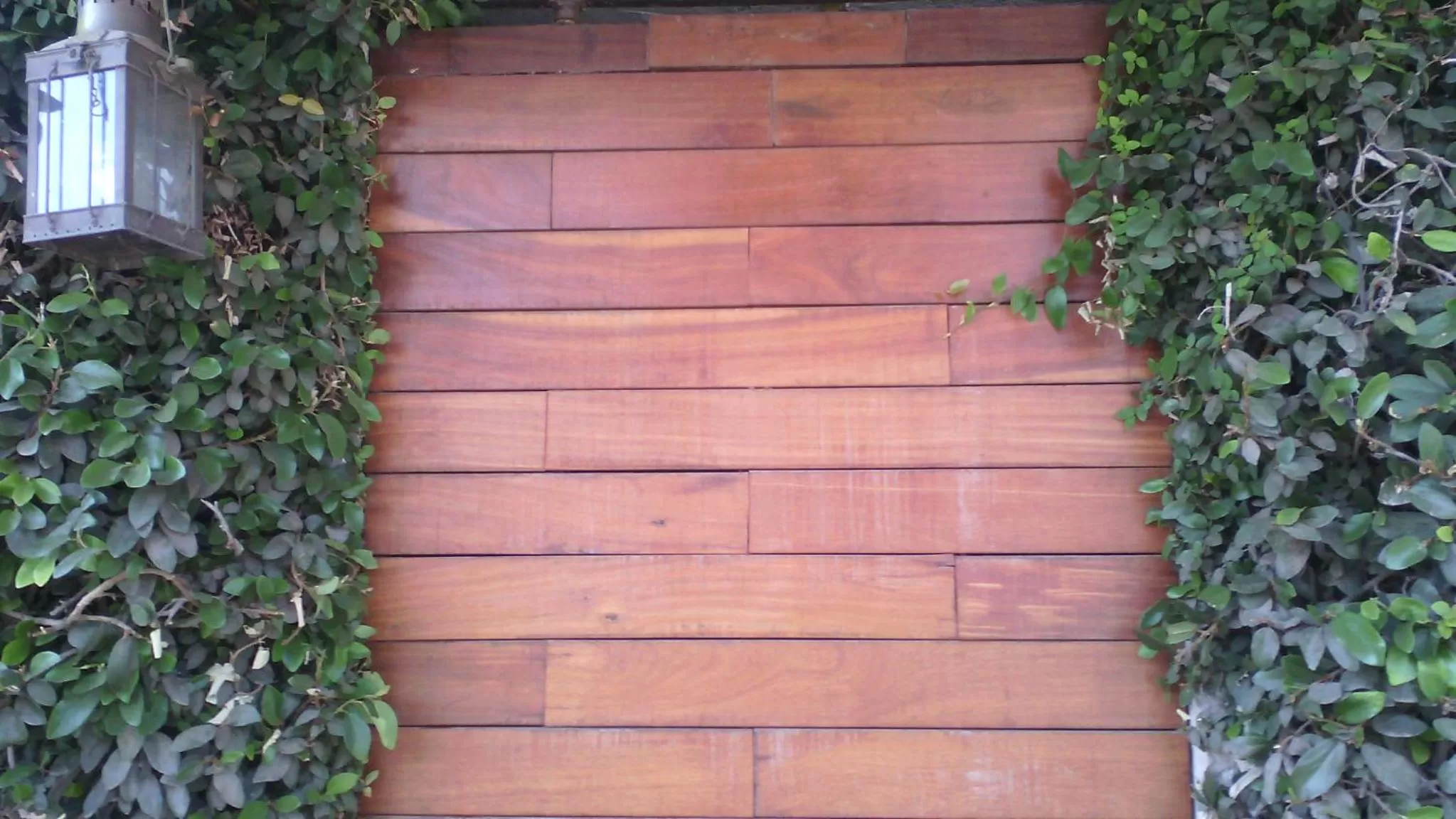 Other in Casa Tepoztlán