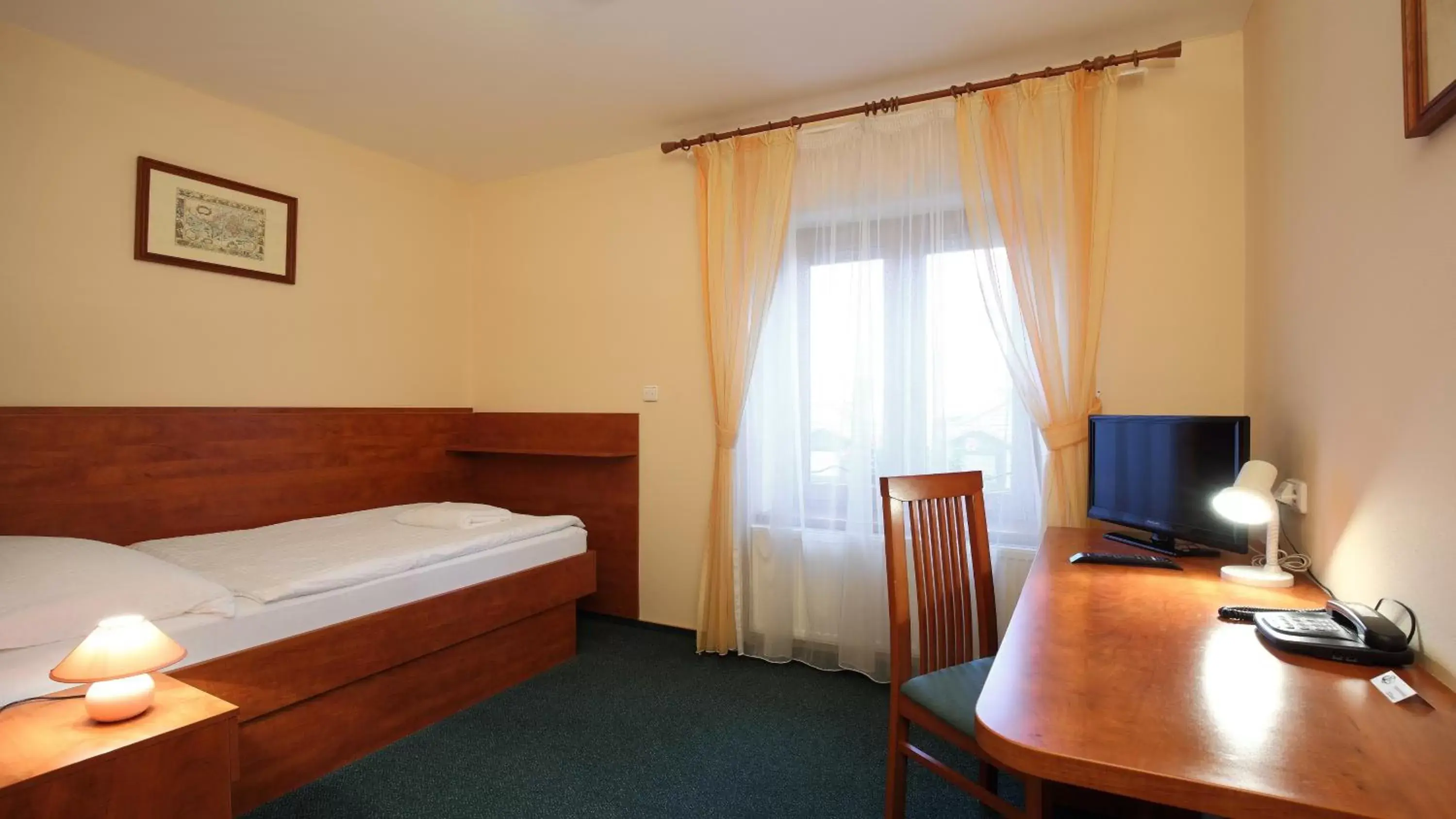 Superior Single Room in Hotel Palace