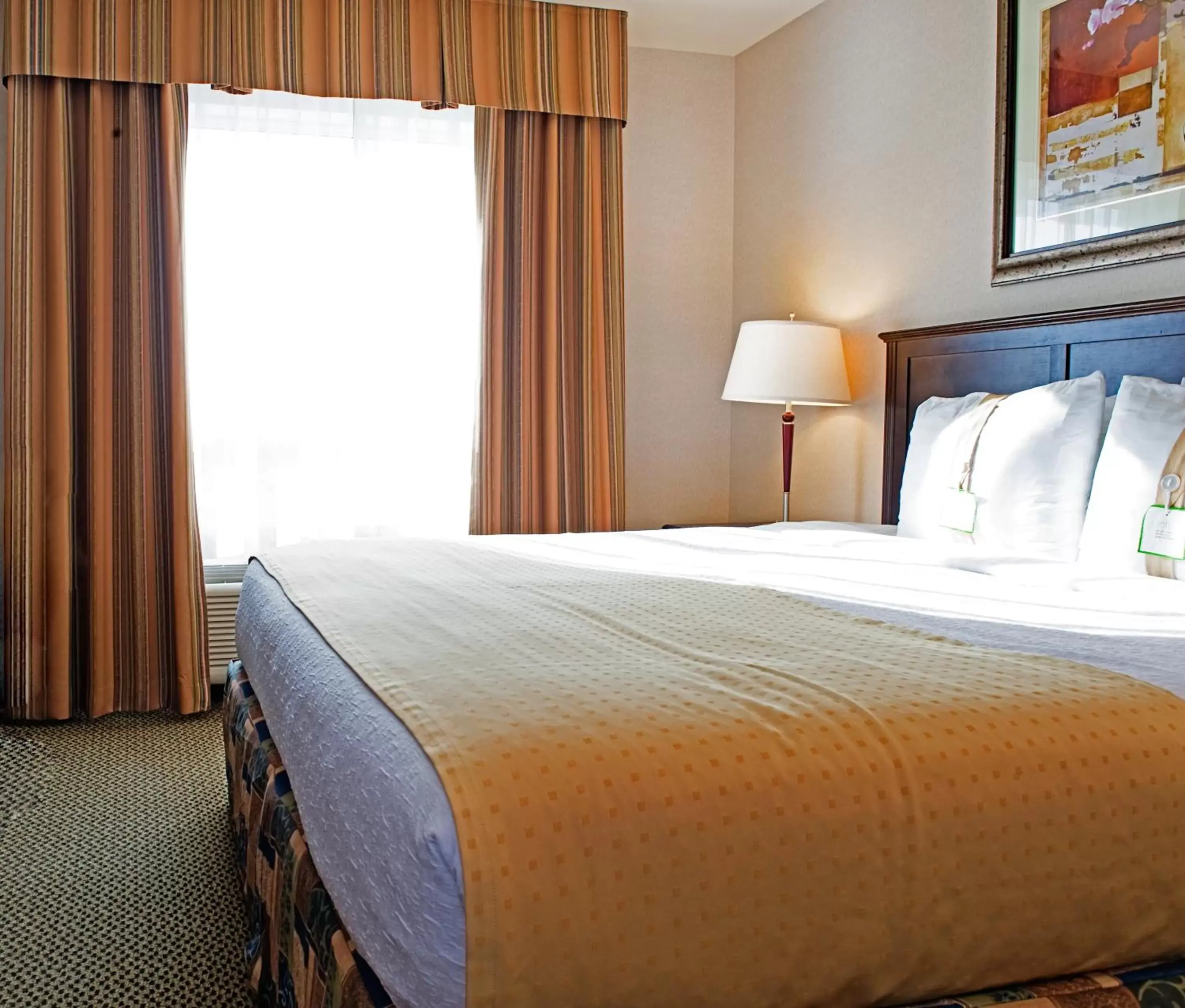 Photo of the whole room, Bed in Holiday Inn Hotel & Suites-West Edmonton, an IHG Hotel