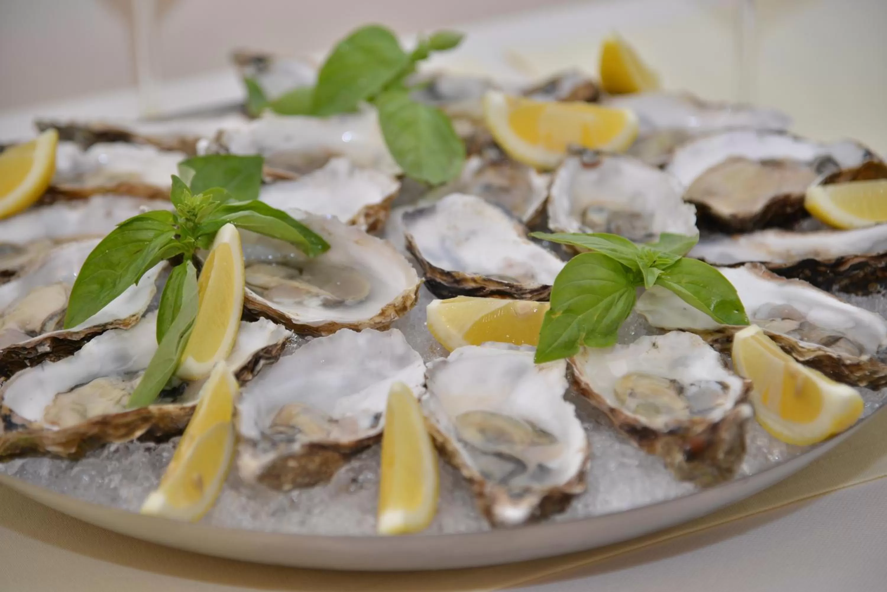 Food close-up in Pletnevskiy Inn