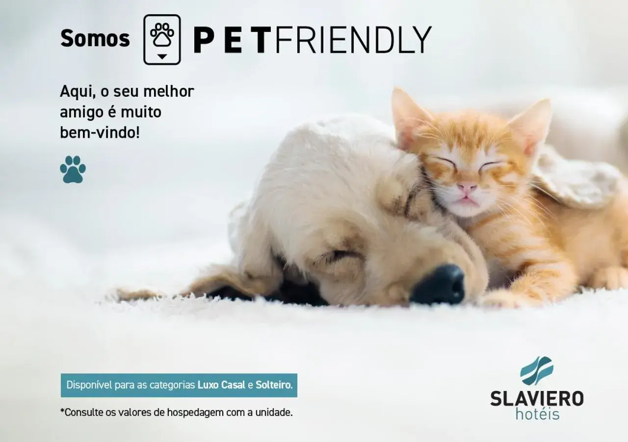 Pets in Slaviero São Paulo Moema