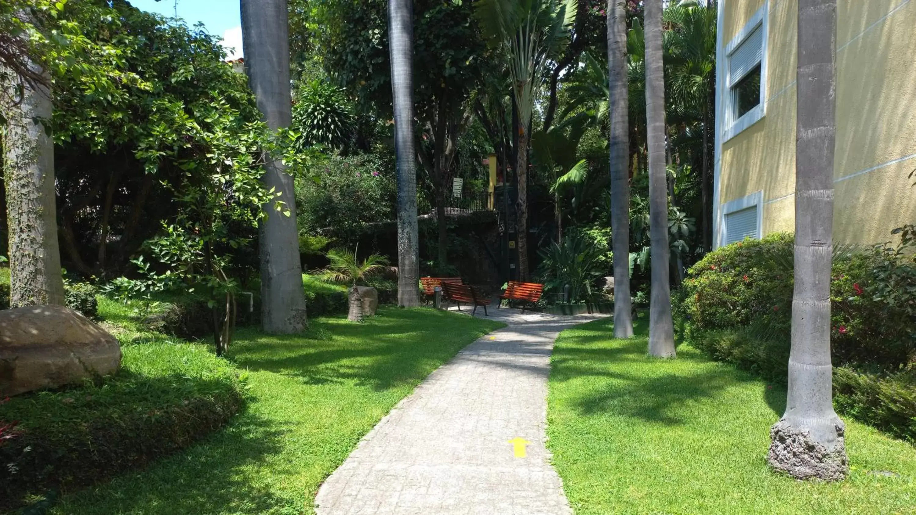 Fitness centre/facilities, Garden in Holiday Inn Cuernavaca, an IHG Hotel