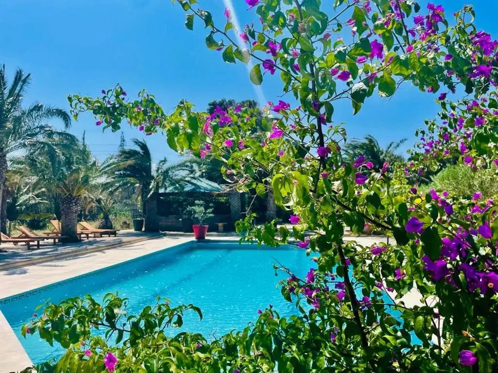 Pool view, Swimming Pool in Tropic Hôtel