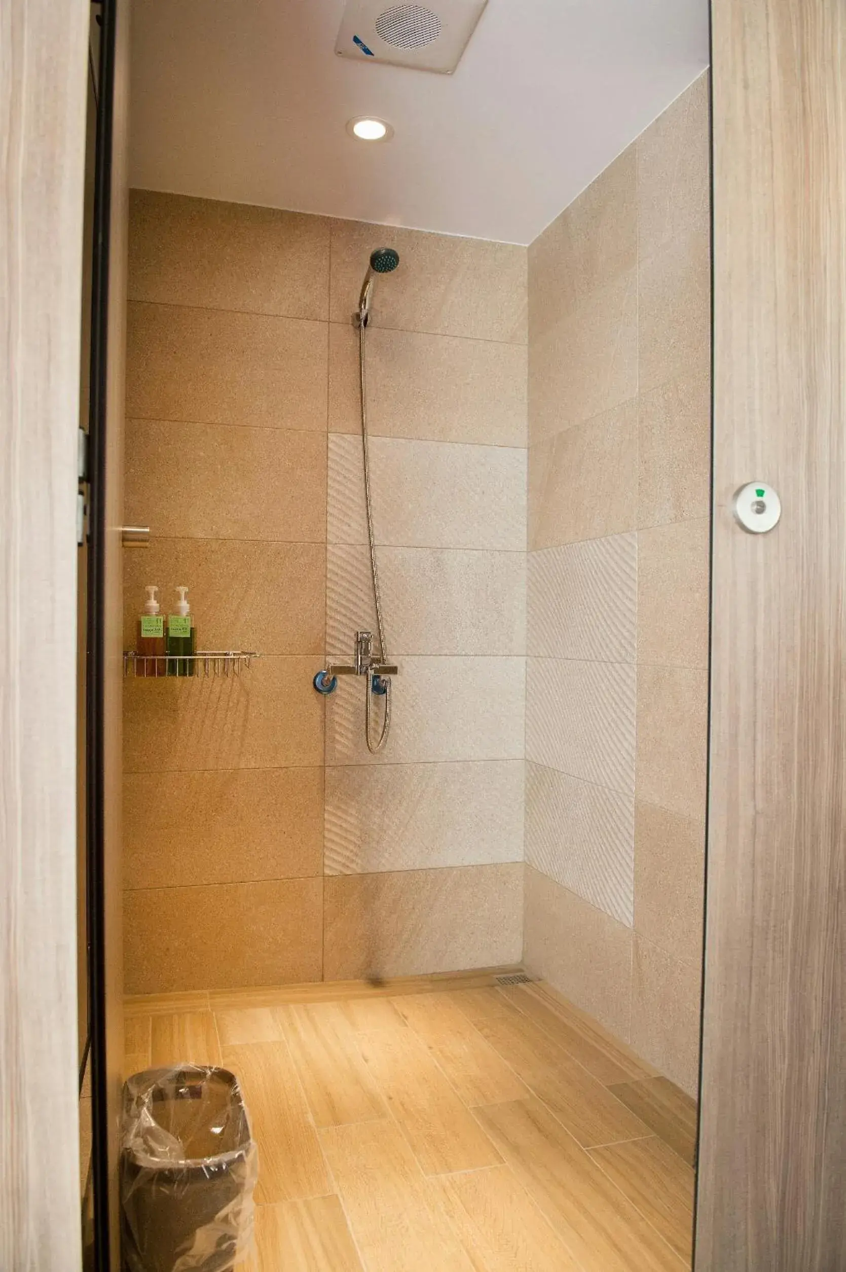 Shower, Bathroom in The Brick