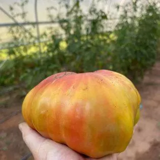 Food close-up in Laurel River Club Bed & Breakfast or LRCBNB