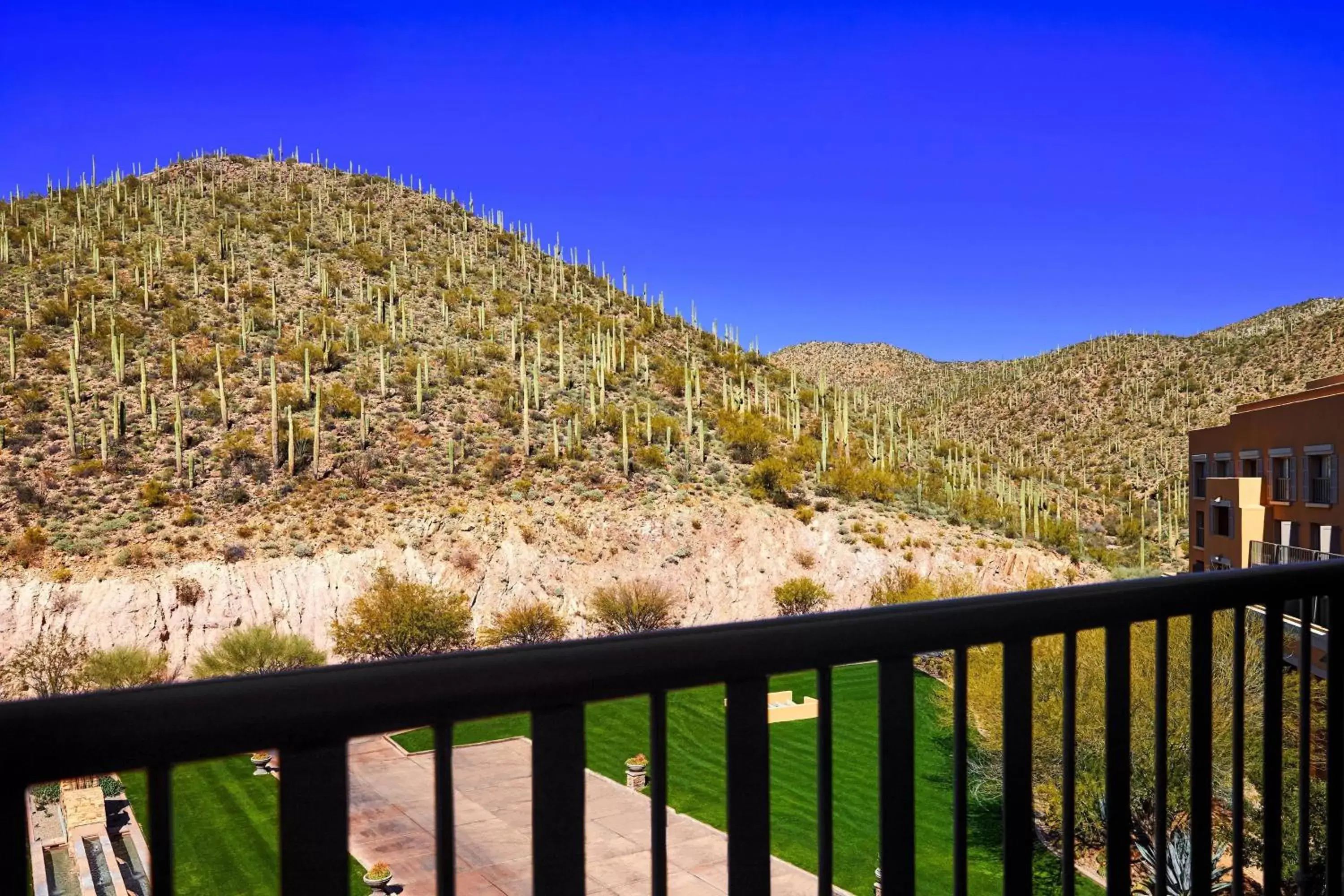 Photo of the whole room, Mountain View in JW Marriott Tucson Starr Pass Resort