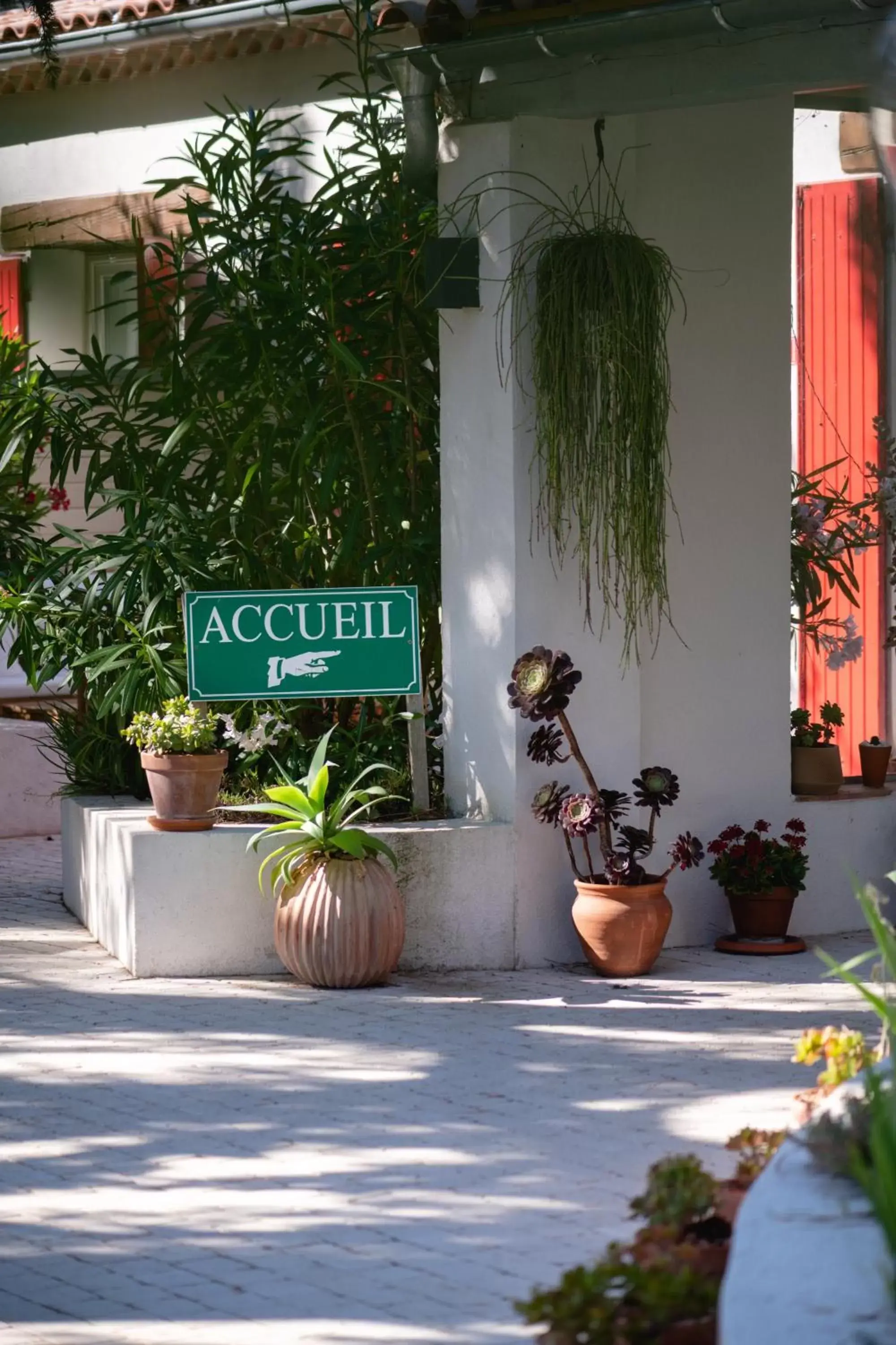 Garden in HôTEL LES VOLETS ROUGES - CASSIS