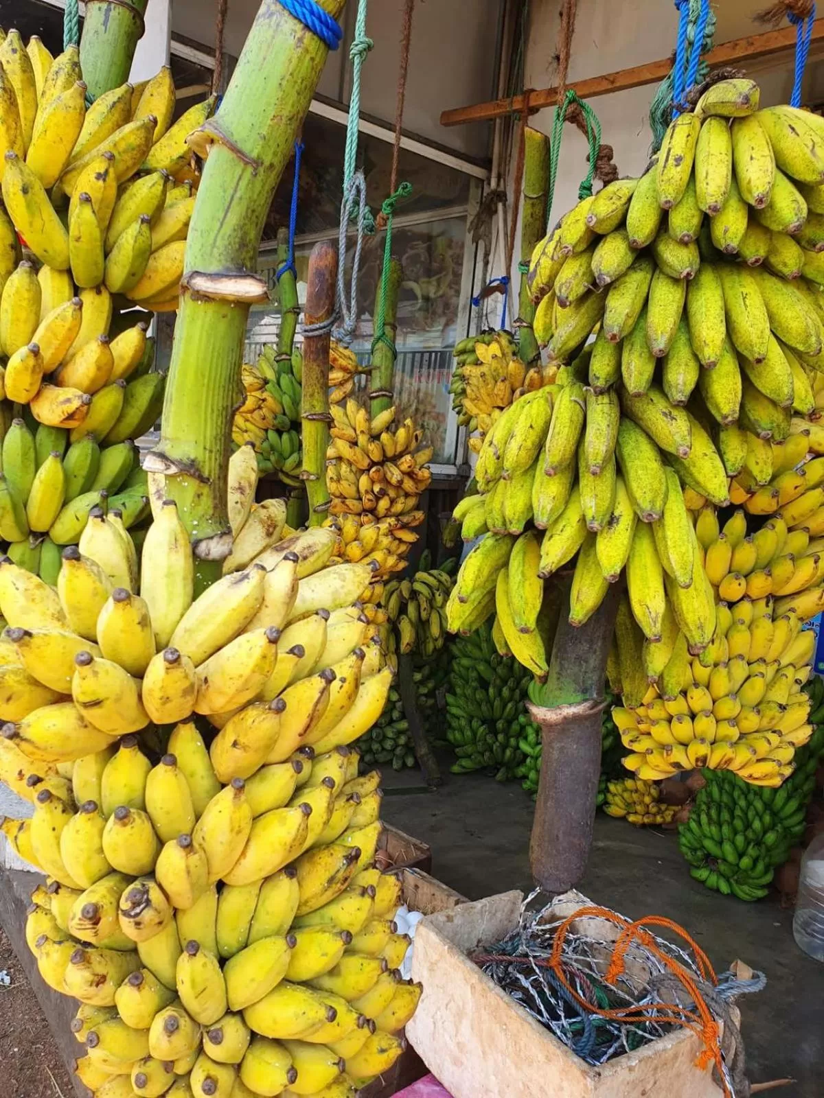 Food in 108 Palms Beach Resort