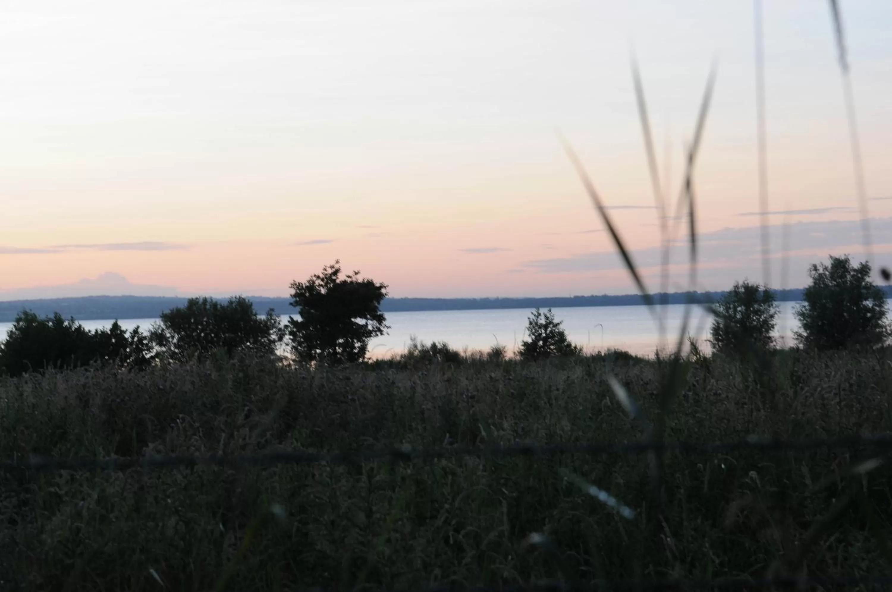View (from property/room) in Bay Cottage Bed & Breakfast