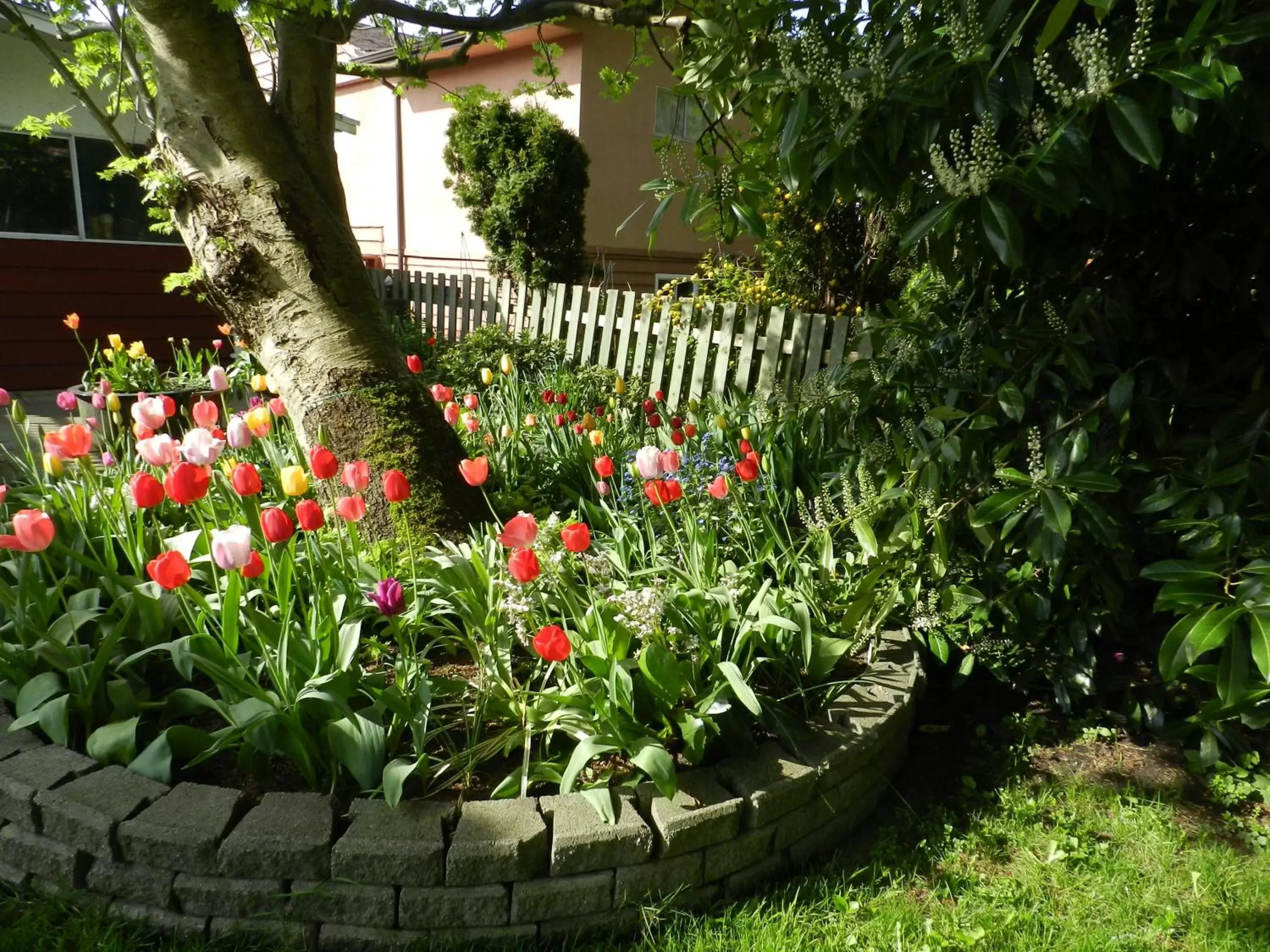 Garden, Patio/Outdoor Area in Serenity