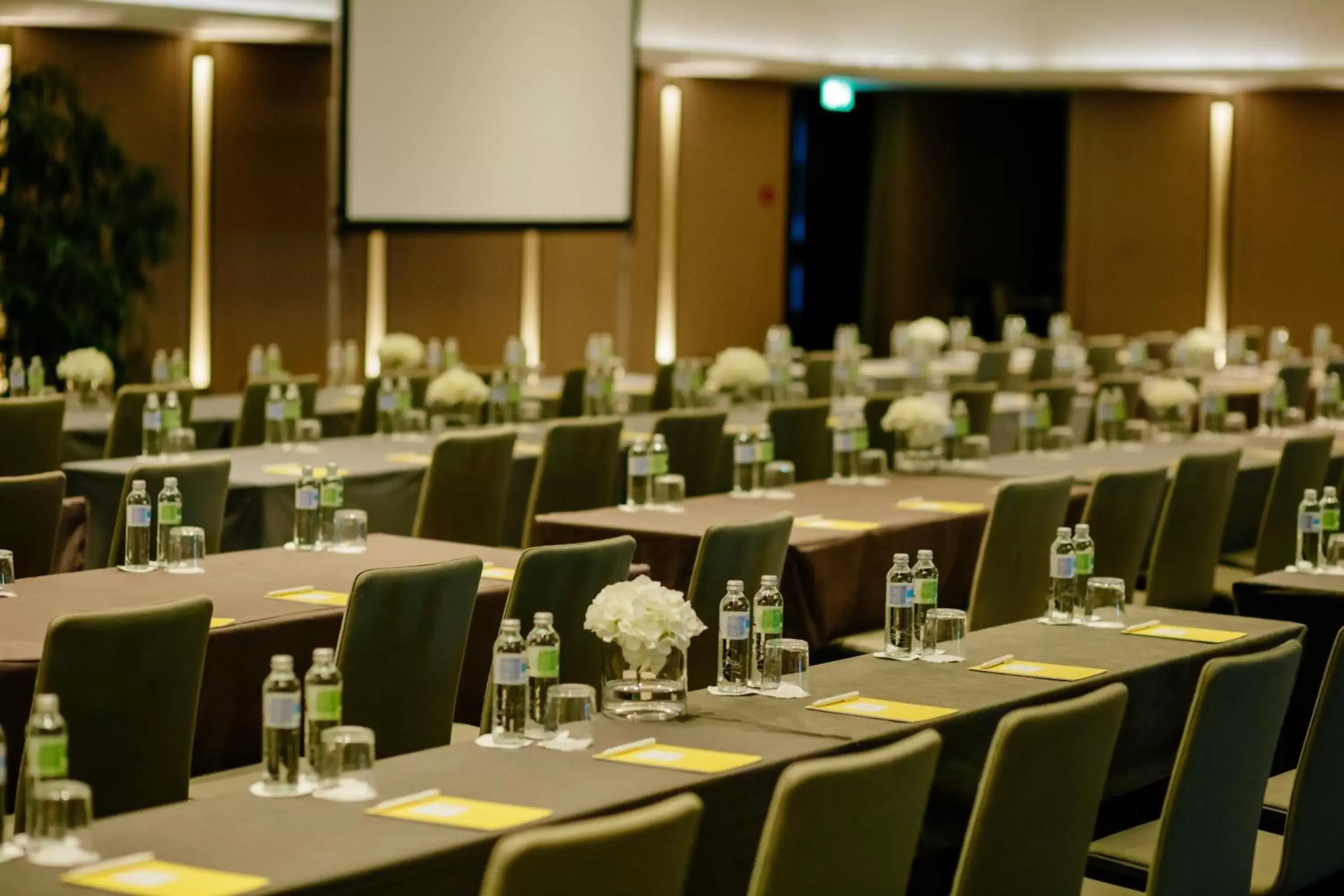 Meeting/conference room, Business Area/Conference Room in Crowne Plaza Belgrade, an IHG Hotel
