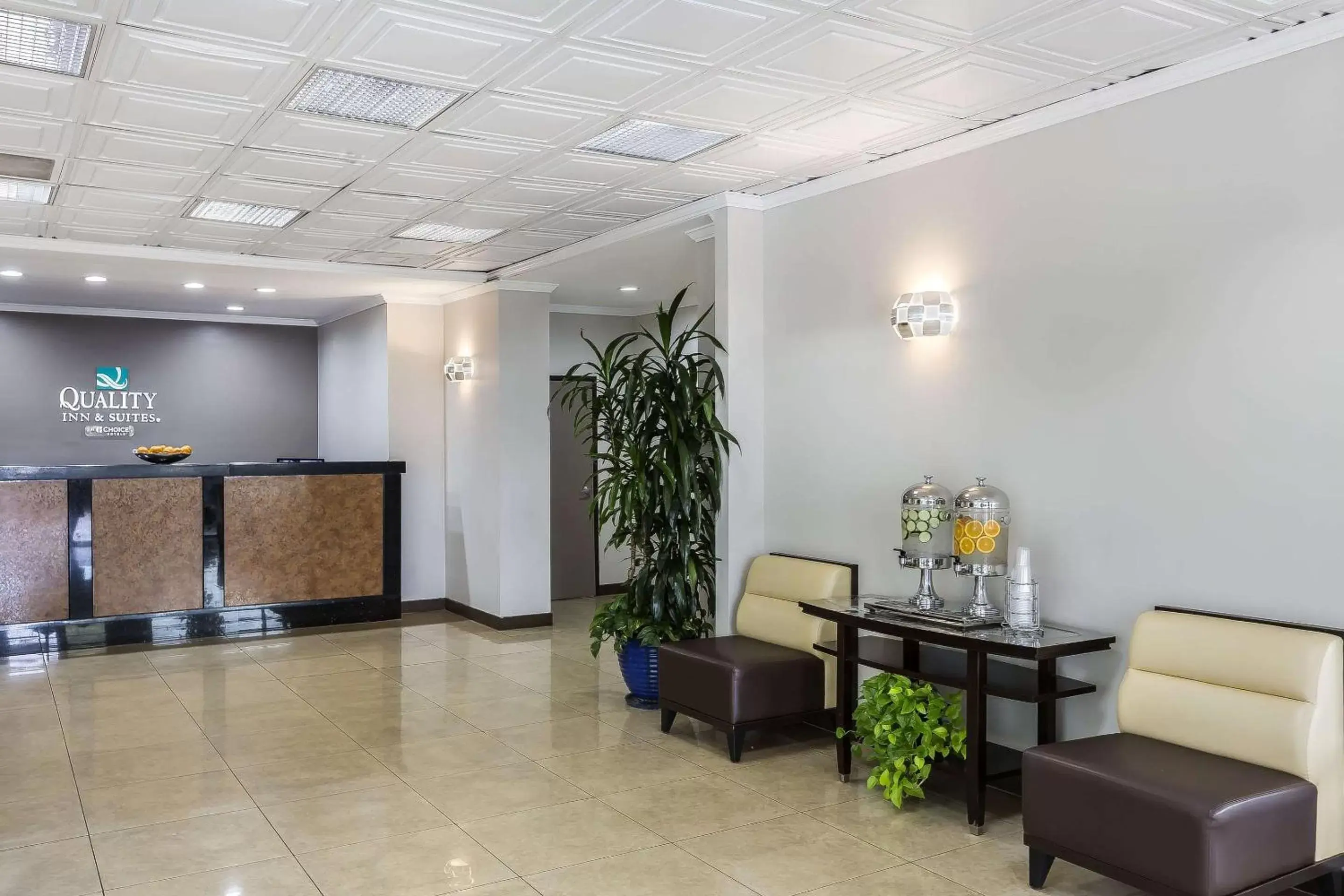 Lobby or reception, Lobby/Reception in Quality Inn & Suites Los Angeles Airport - LAX