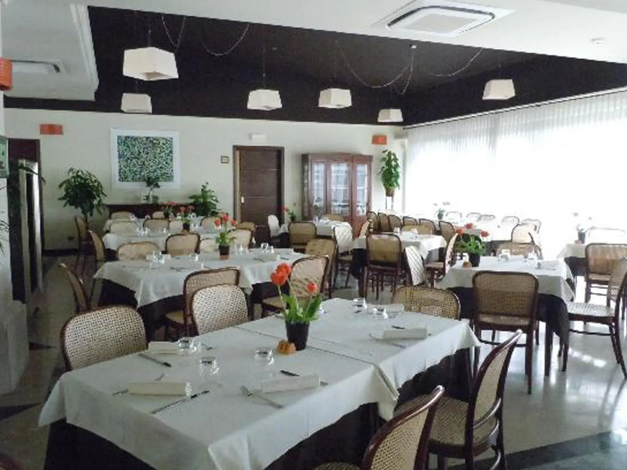Restaurant/Places to Eat in Hotel Adriatico