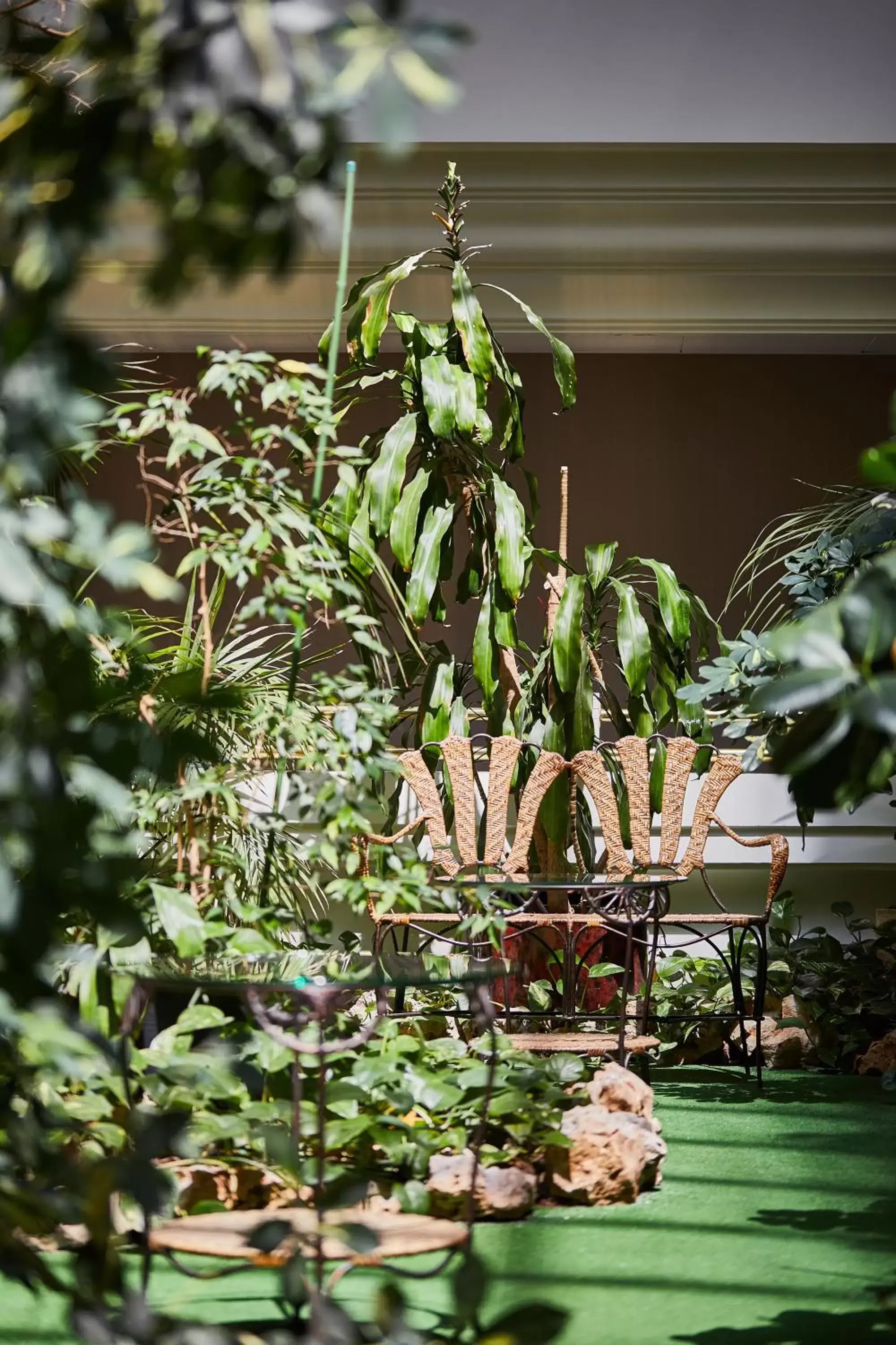 Garden in Silken Ciudad de Vitoria