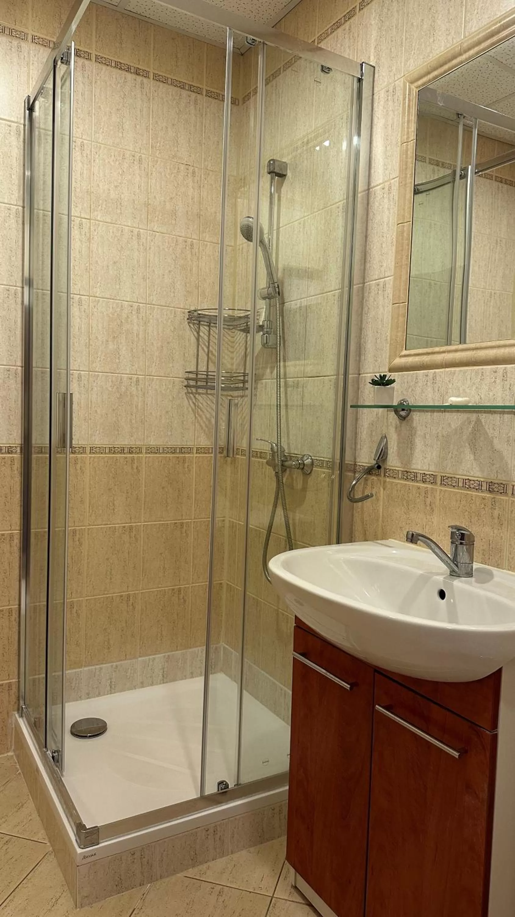 Shower in Hotel Bothe