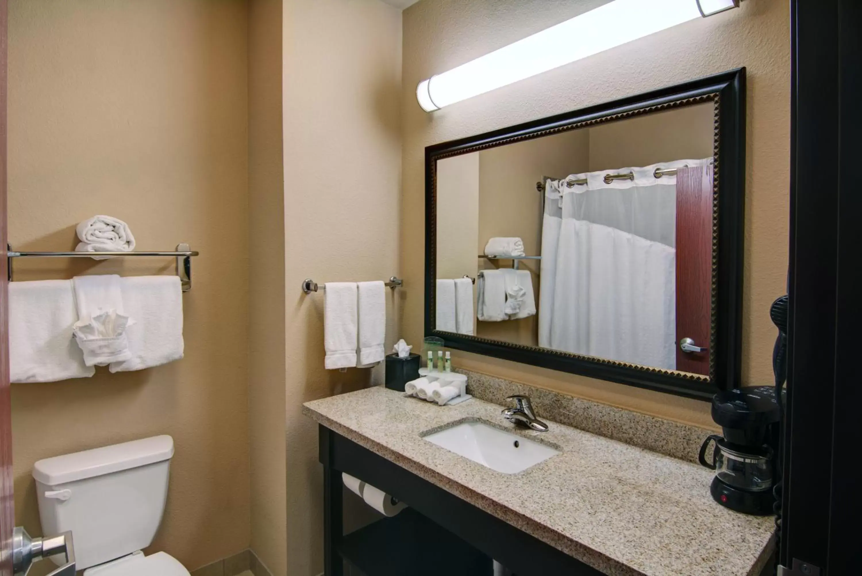 Bathroom in Holiday Inn Express Hotel & Suites Paris, an IHG Hotel