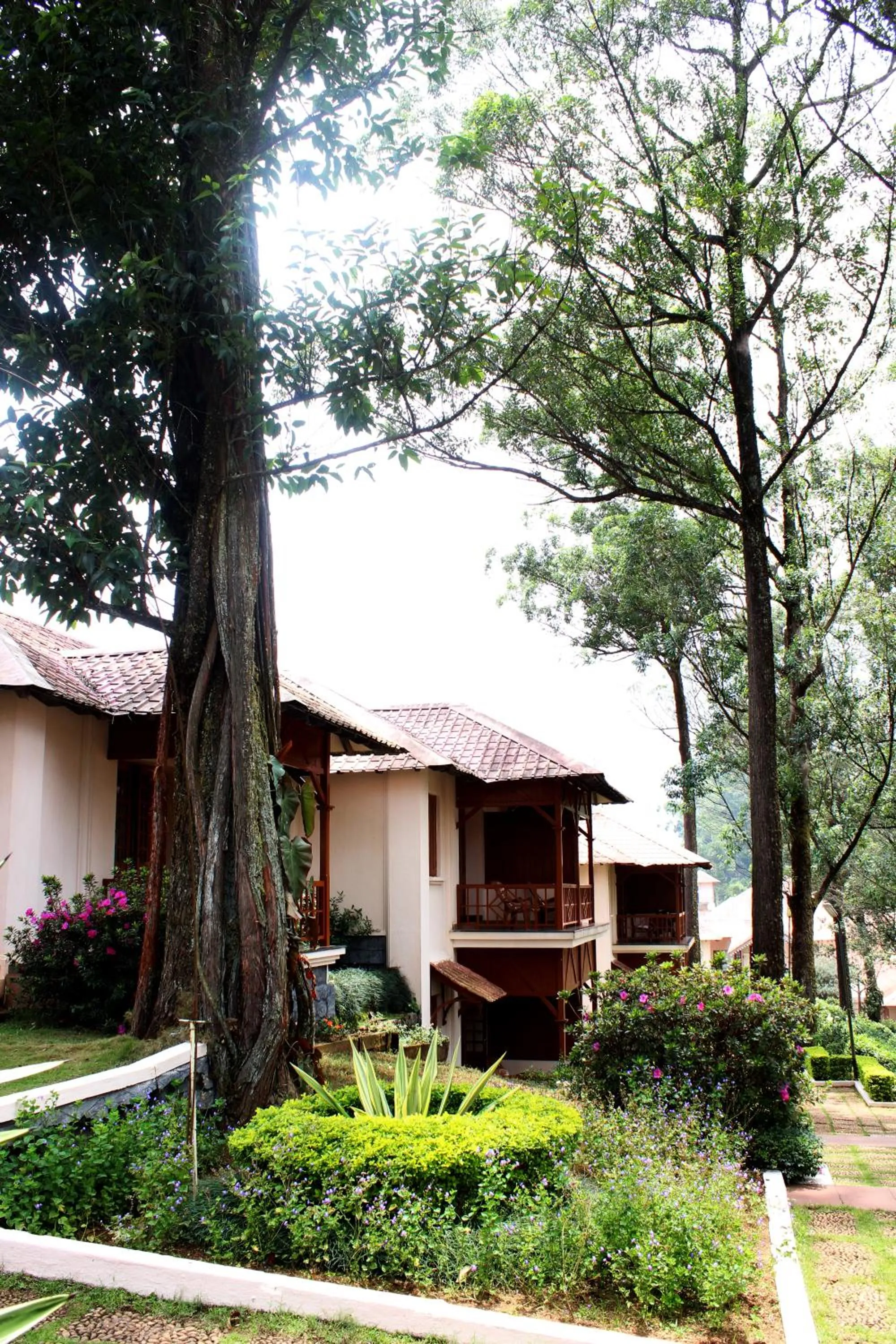 Property building in KTDC Tea county