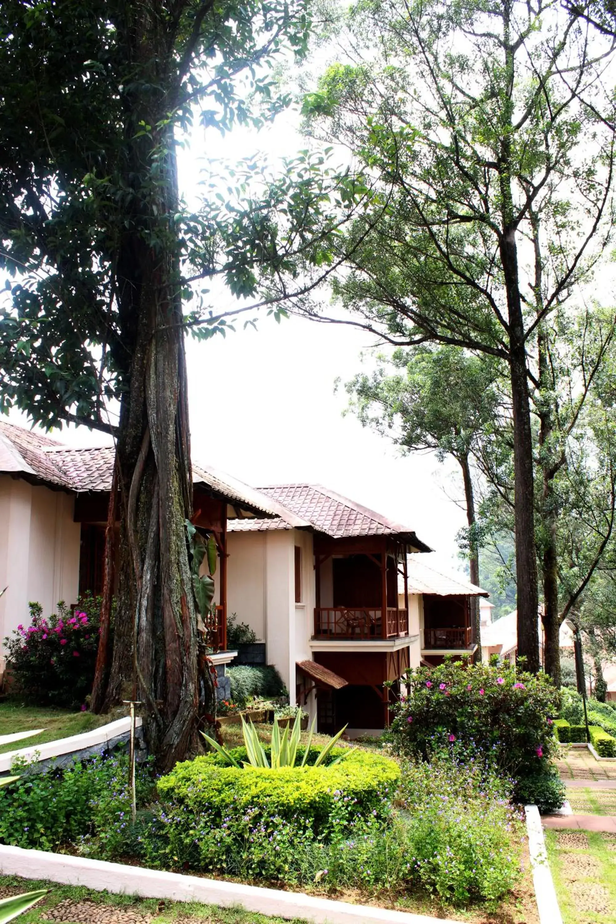 Property Building in Ktdc Tea County Resort