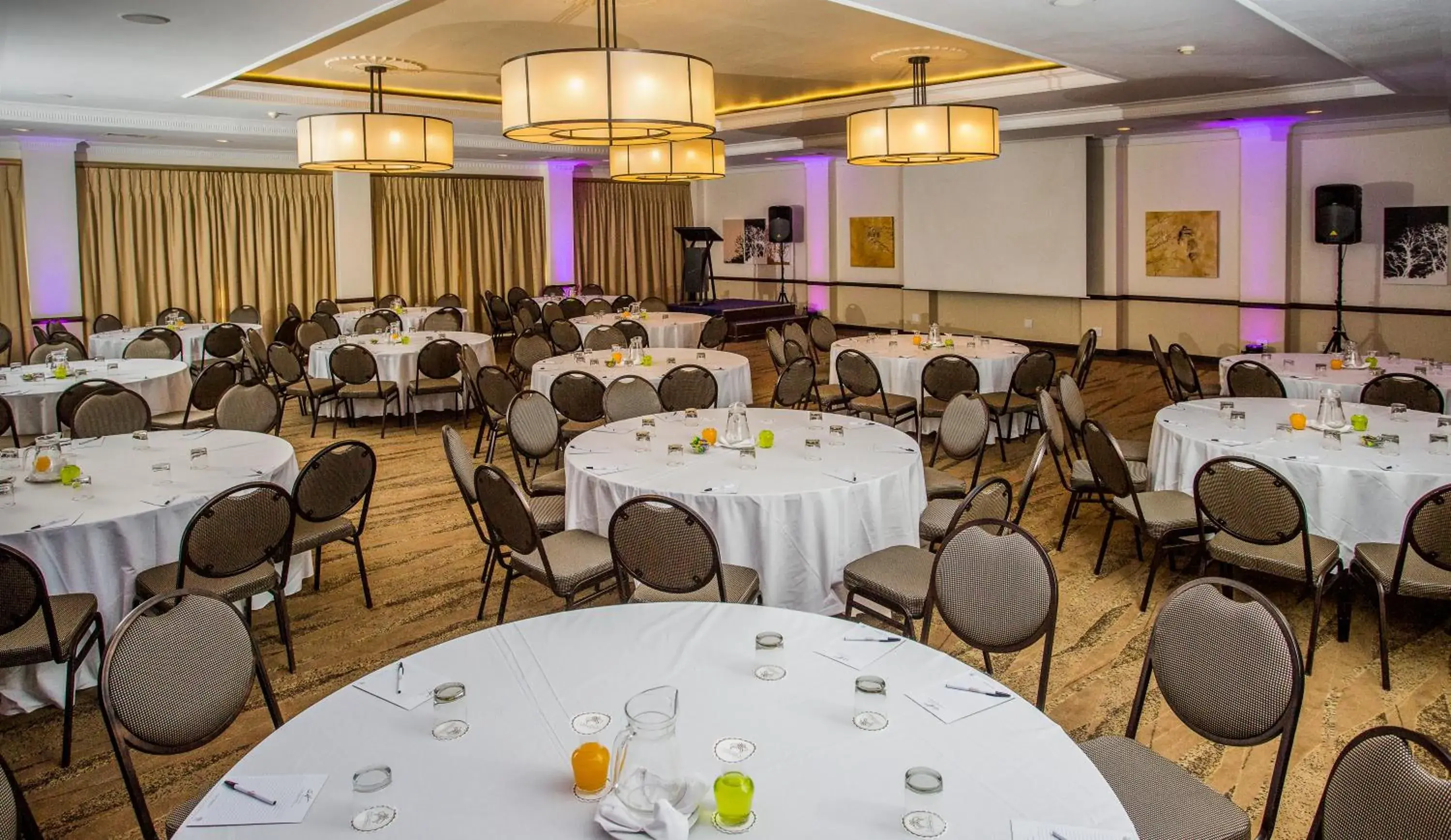Meeting/conference room, Banquet Facilities in The Centurion Hotel