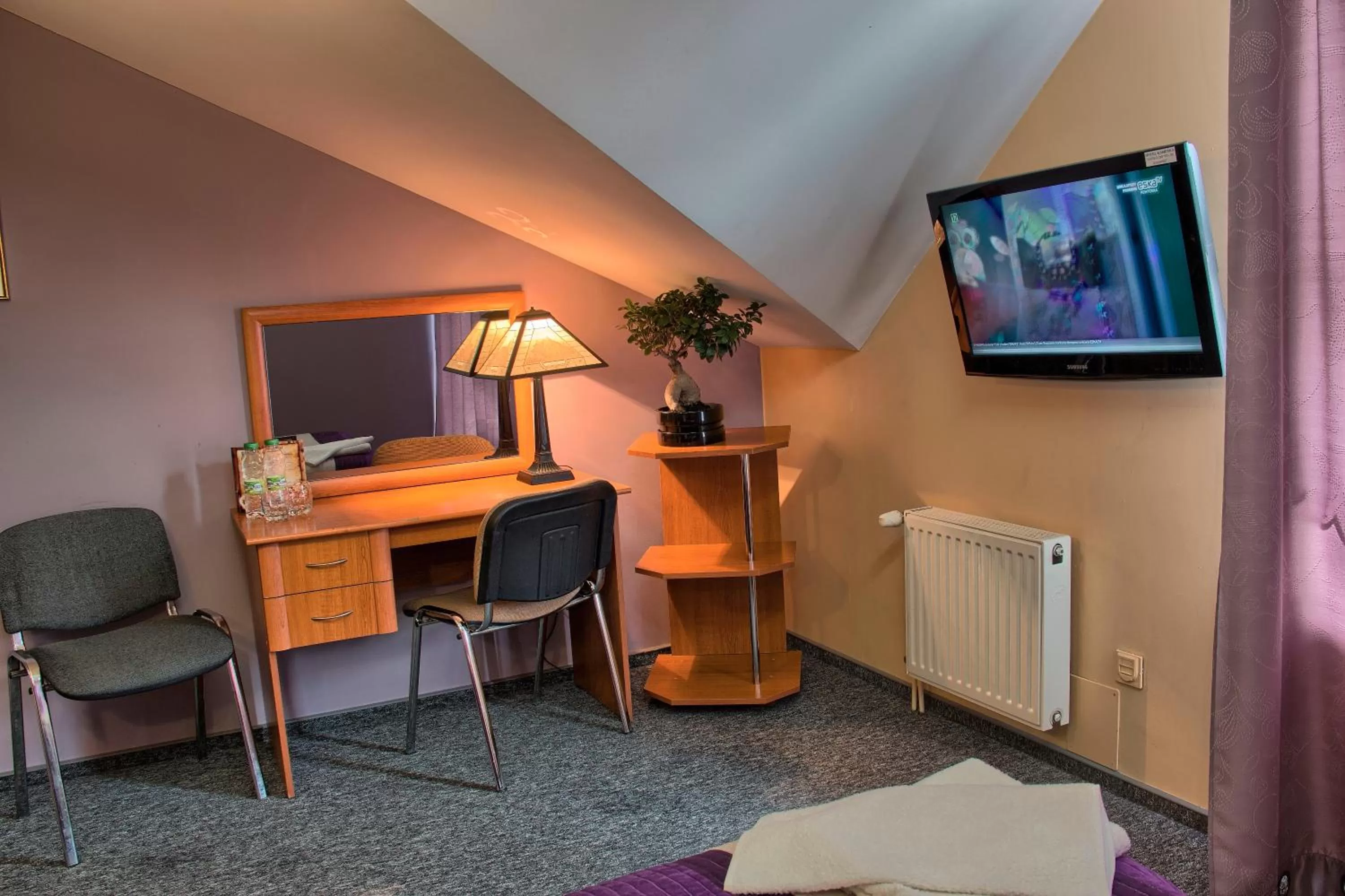 Single Room with Bathroom in Hotel Kasieńka