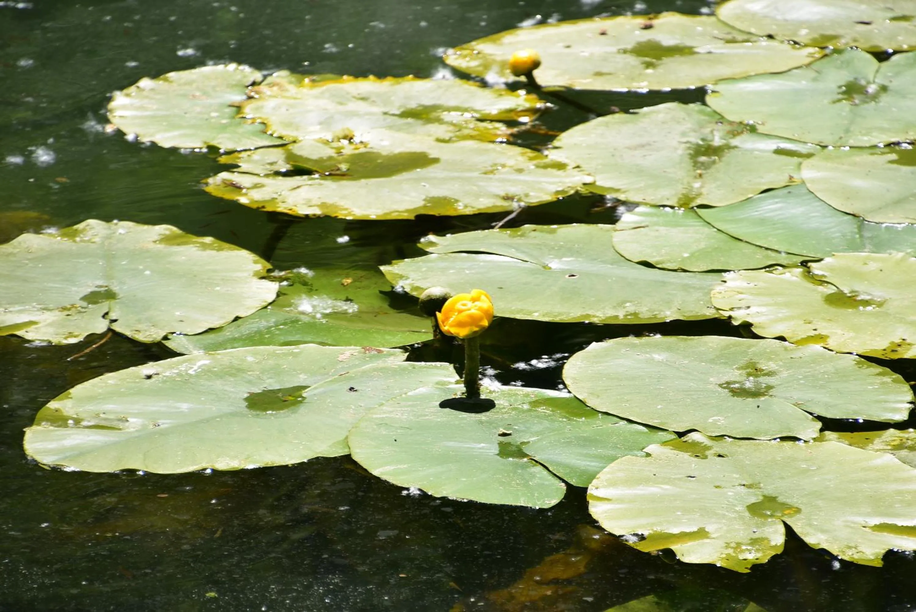 Hiking in Hotel Spa Rio Ucero