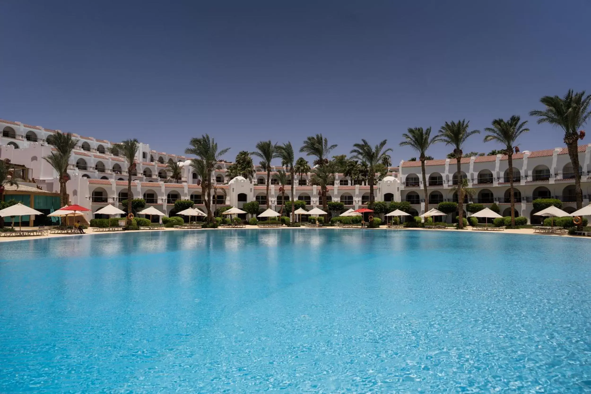 Swimming Pool in Savoy Sharm El Sheikh