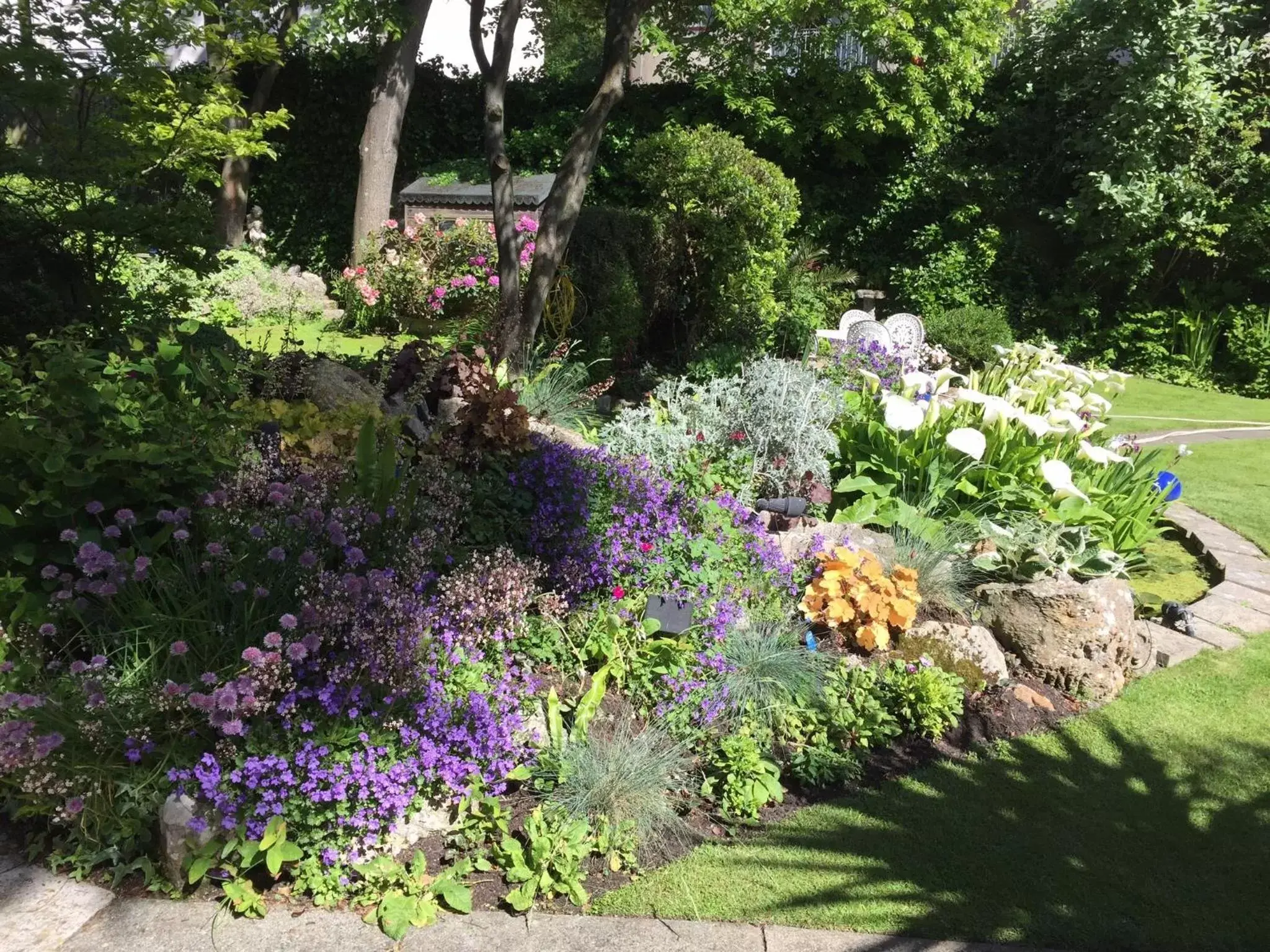 Garden in Queen Anne House