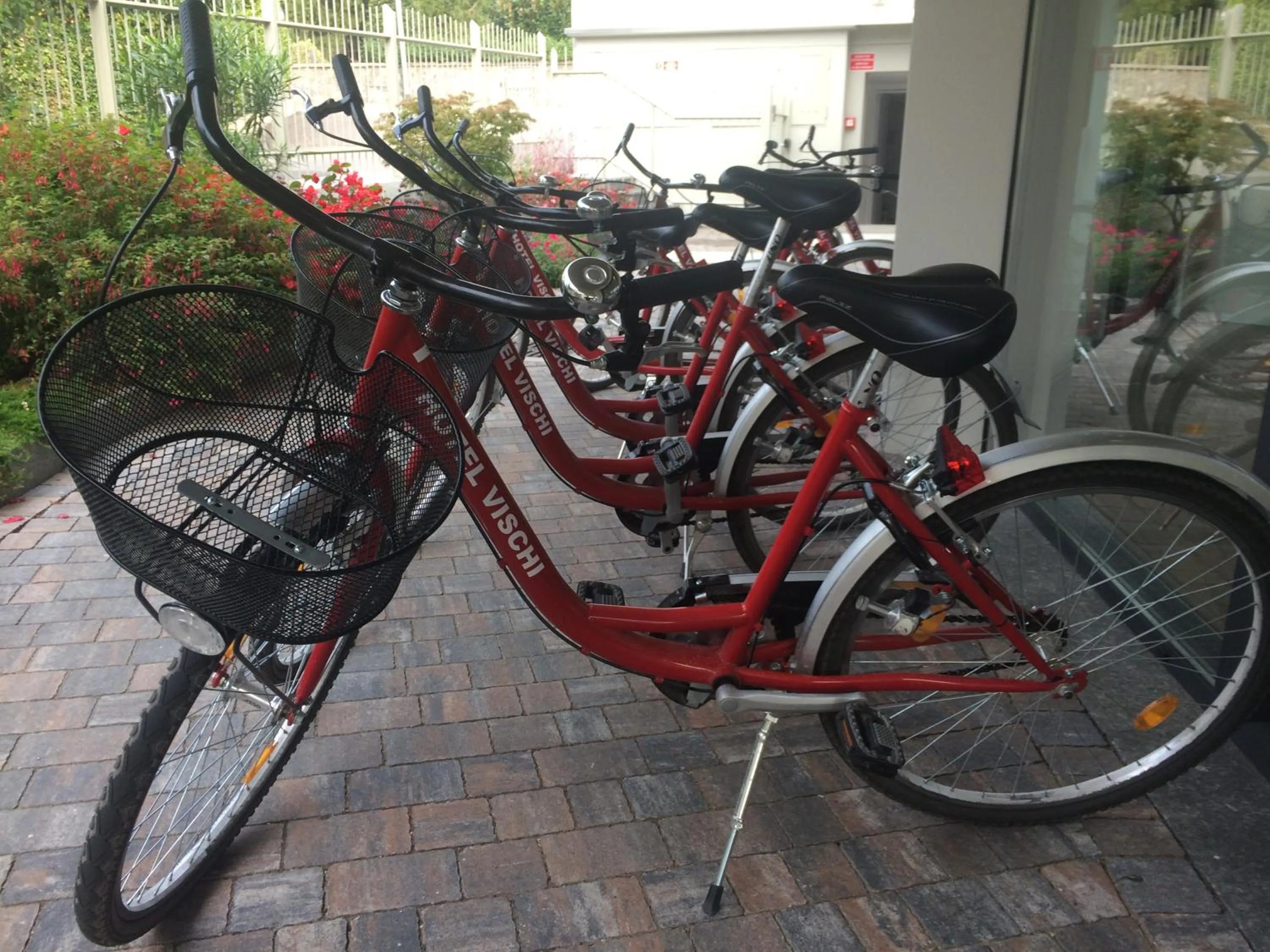 Cycling in Hotel Vischi