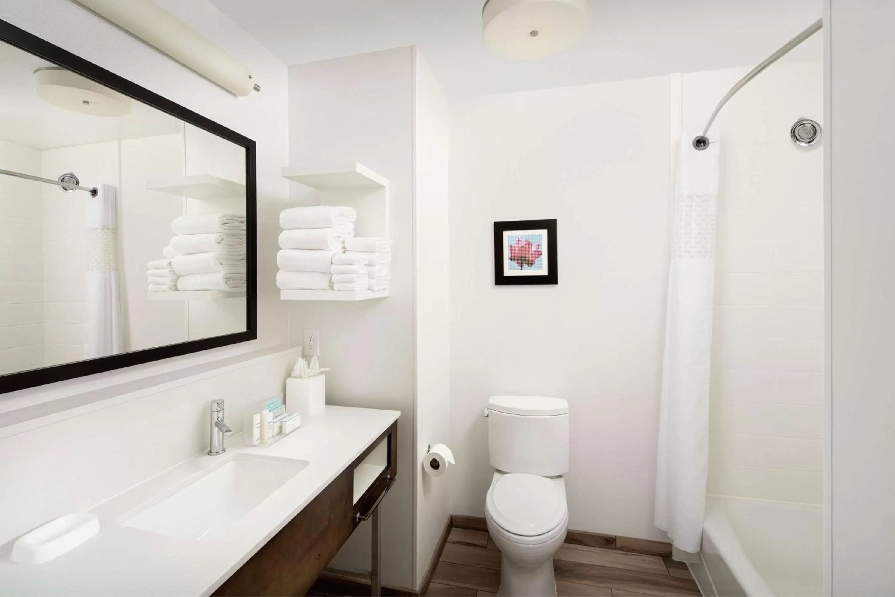 Bathroom in Hampton Inn Denver Tech Center South