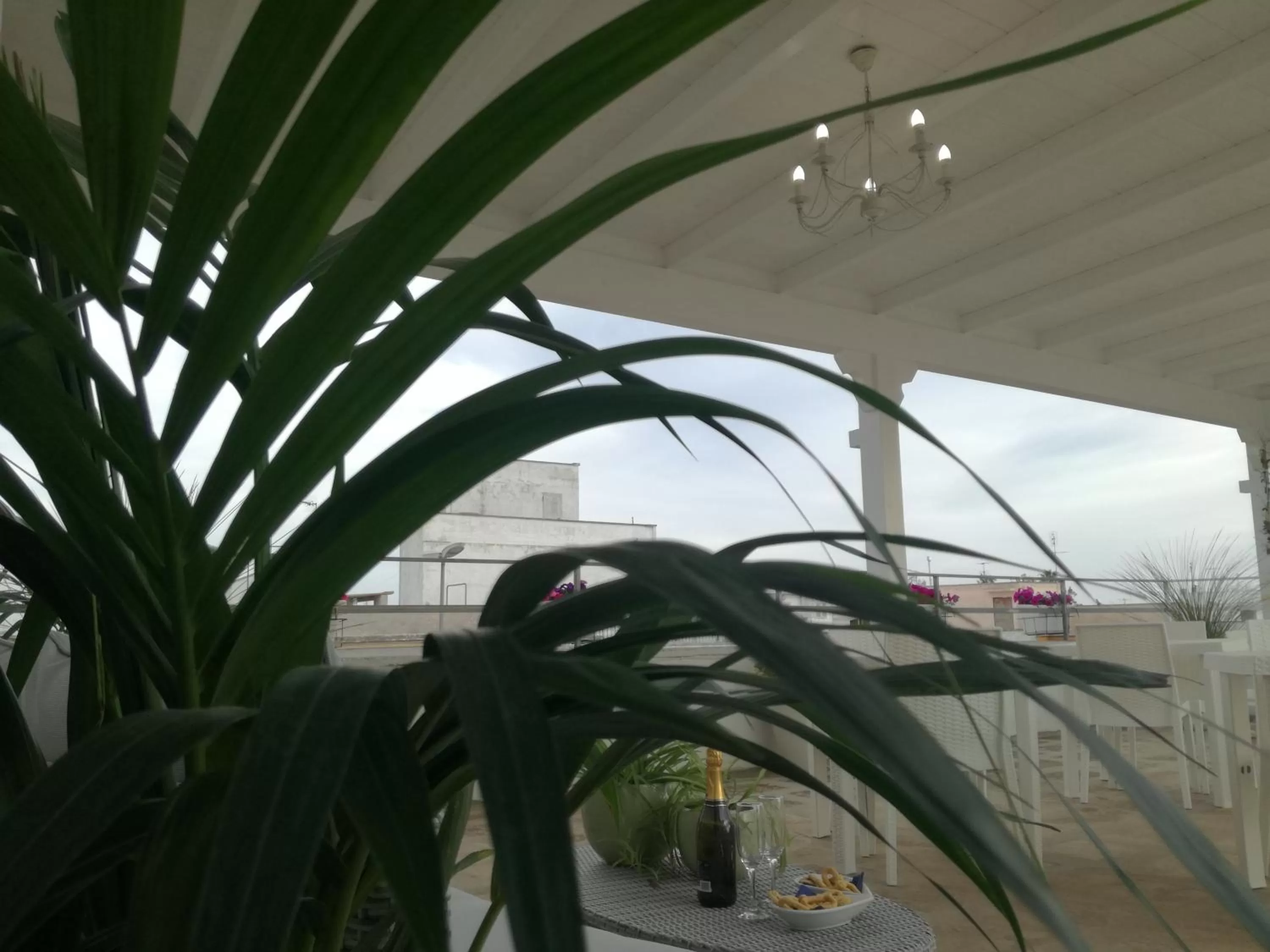 Property building in Casa del Corso