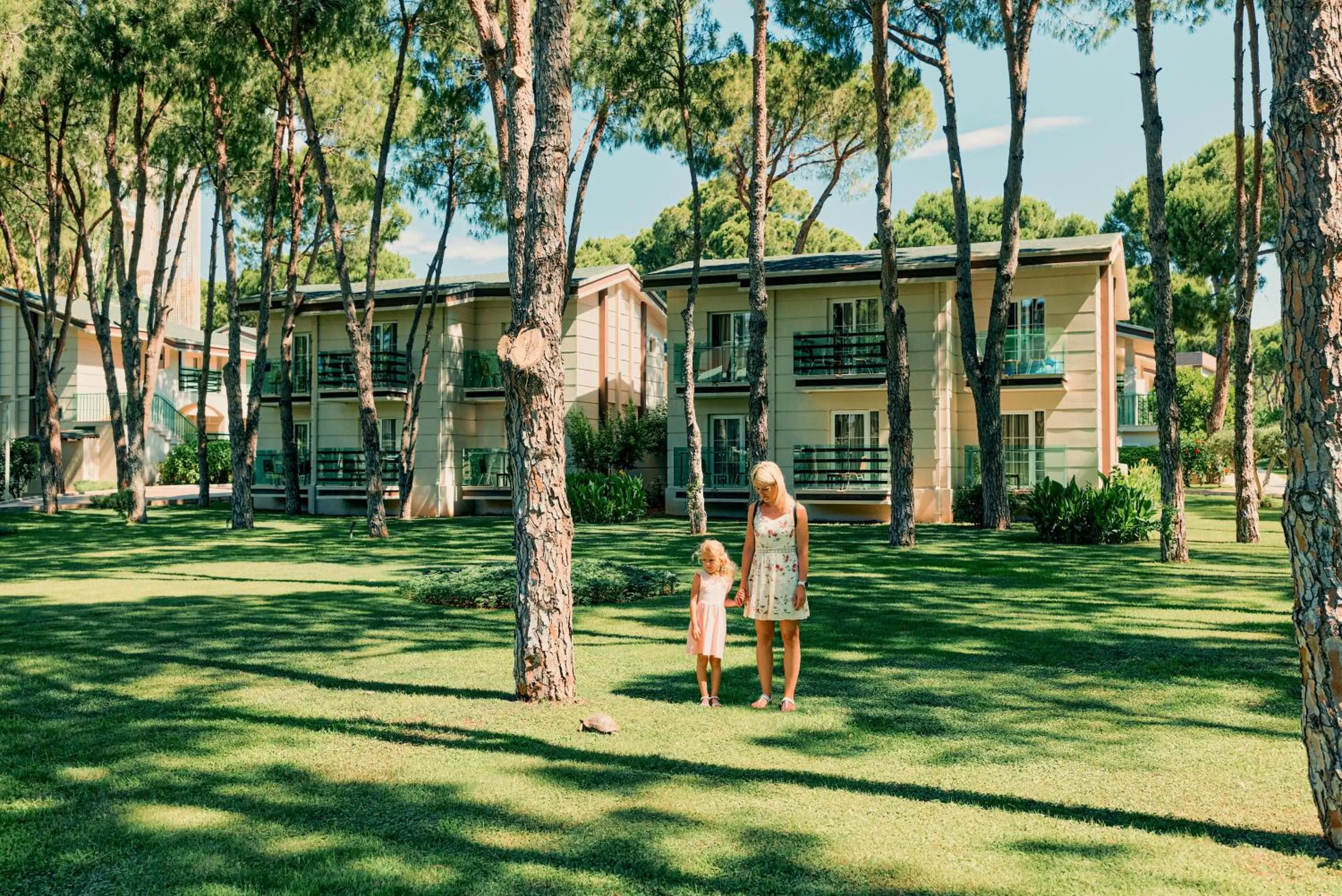 Garden in TUI MAGIC LIFE Masmavi