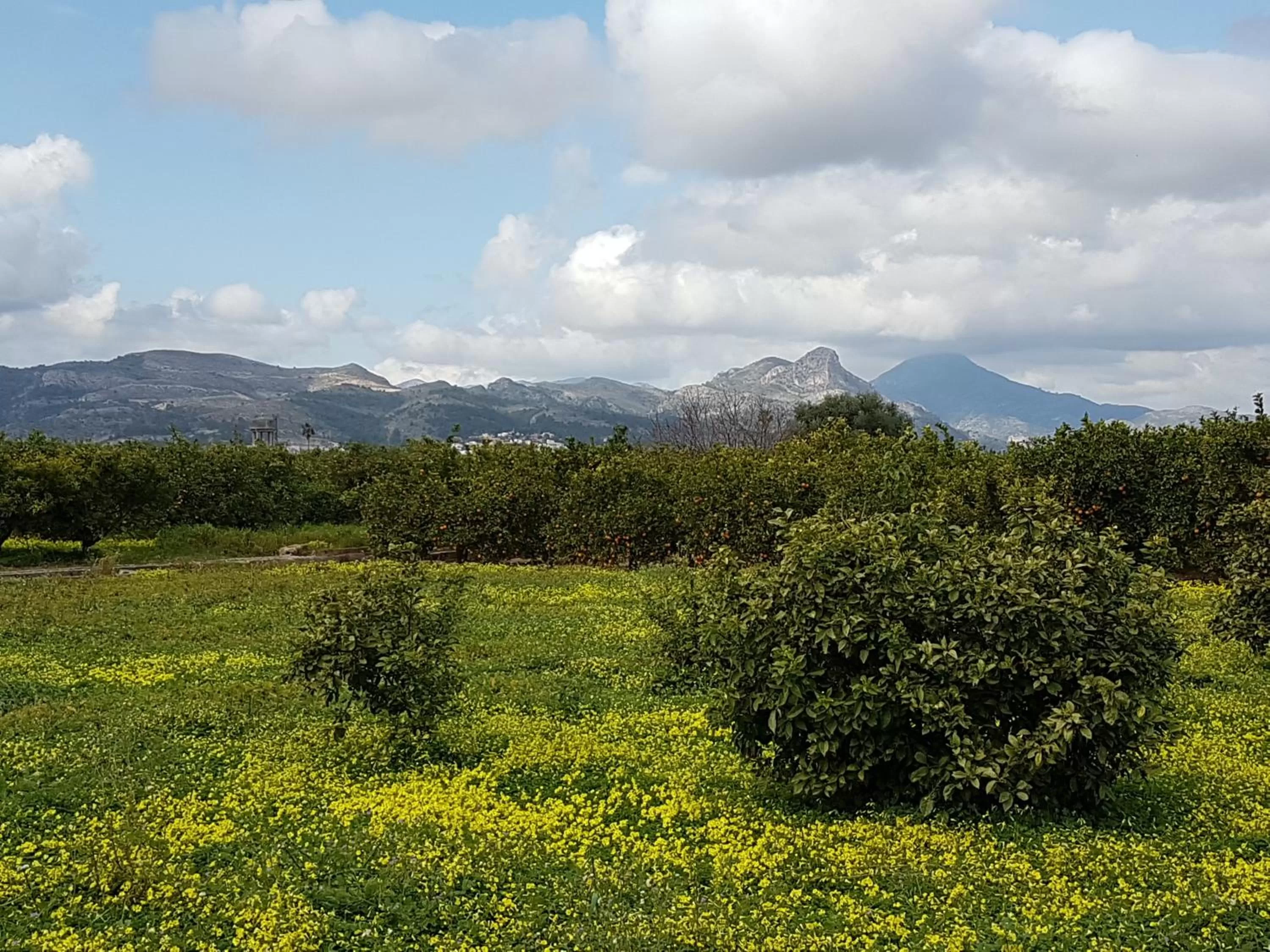 Natural Landscape in Bed & Breakfast Bellreguard