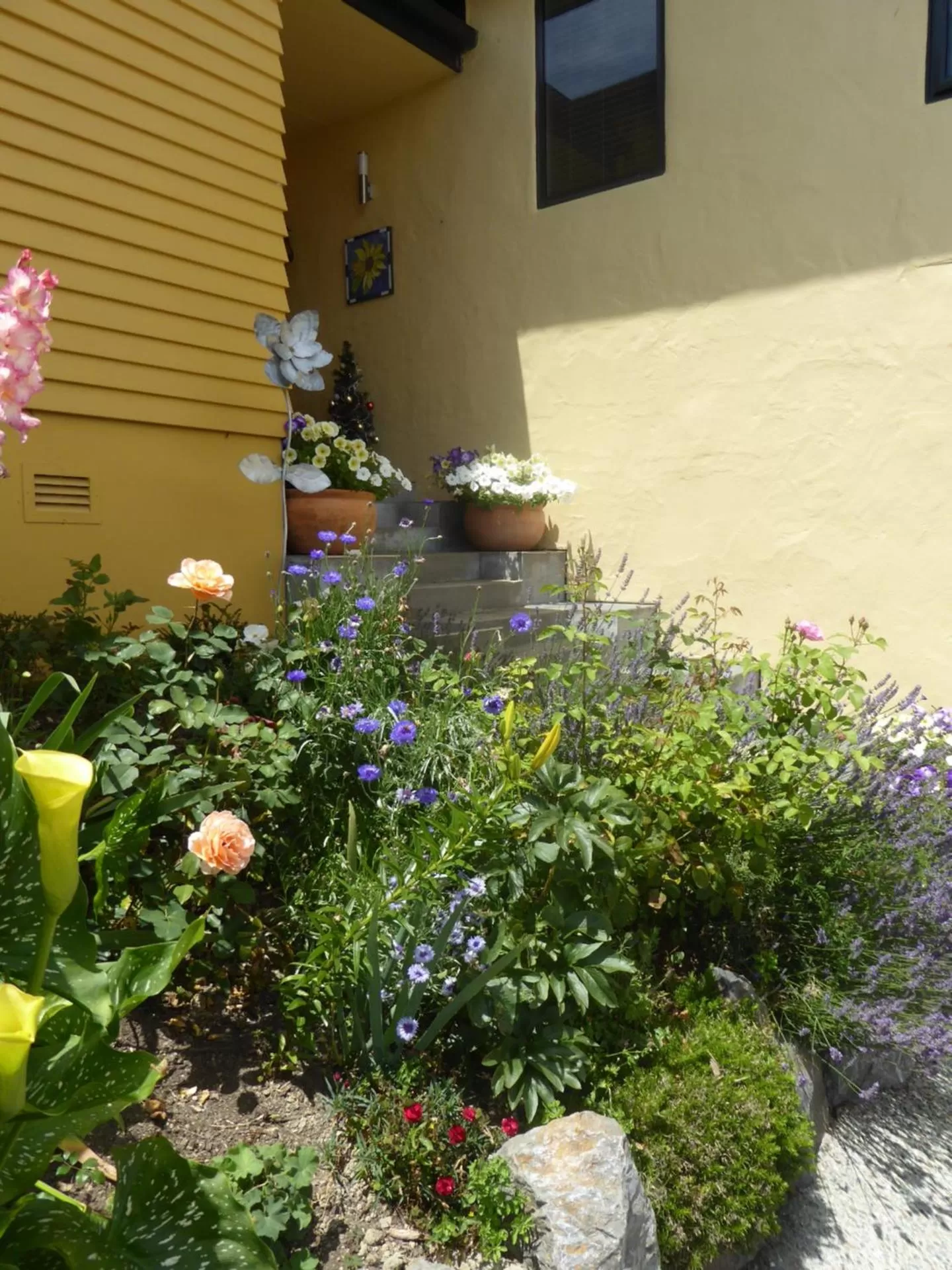 Facade/entrance in Hazelwood Mapua