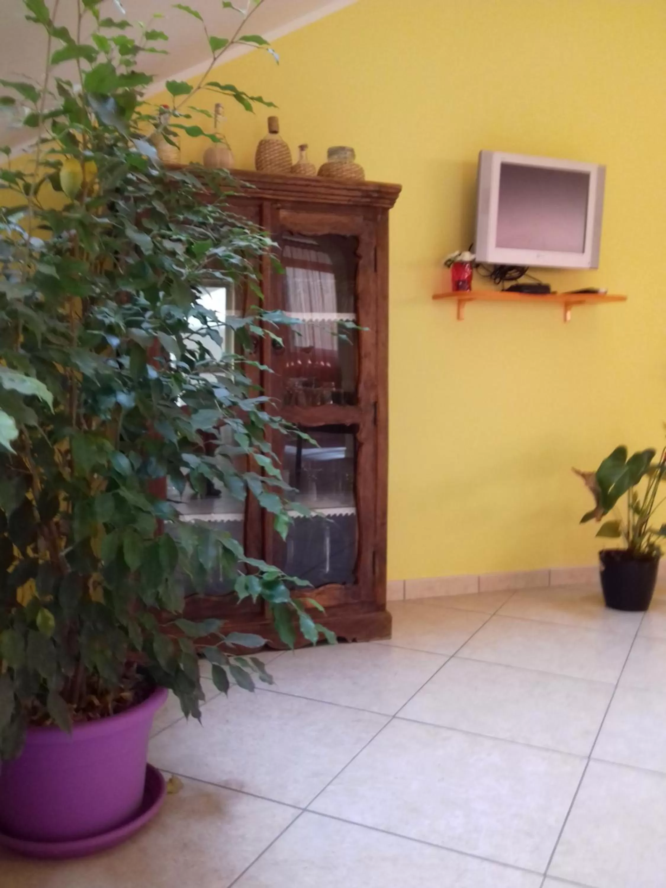 Decorative detail, TV/Entertainment Center in B&B Lu Casale