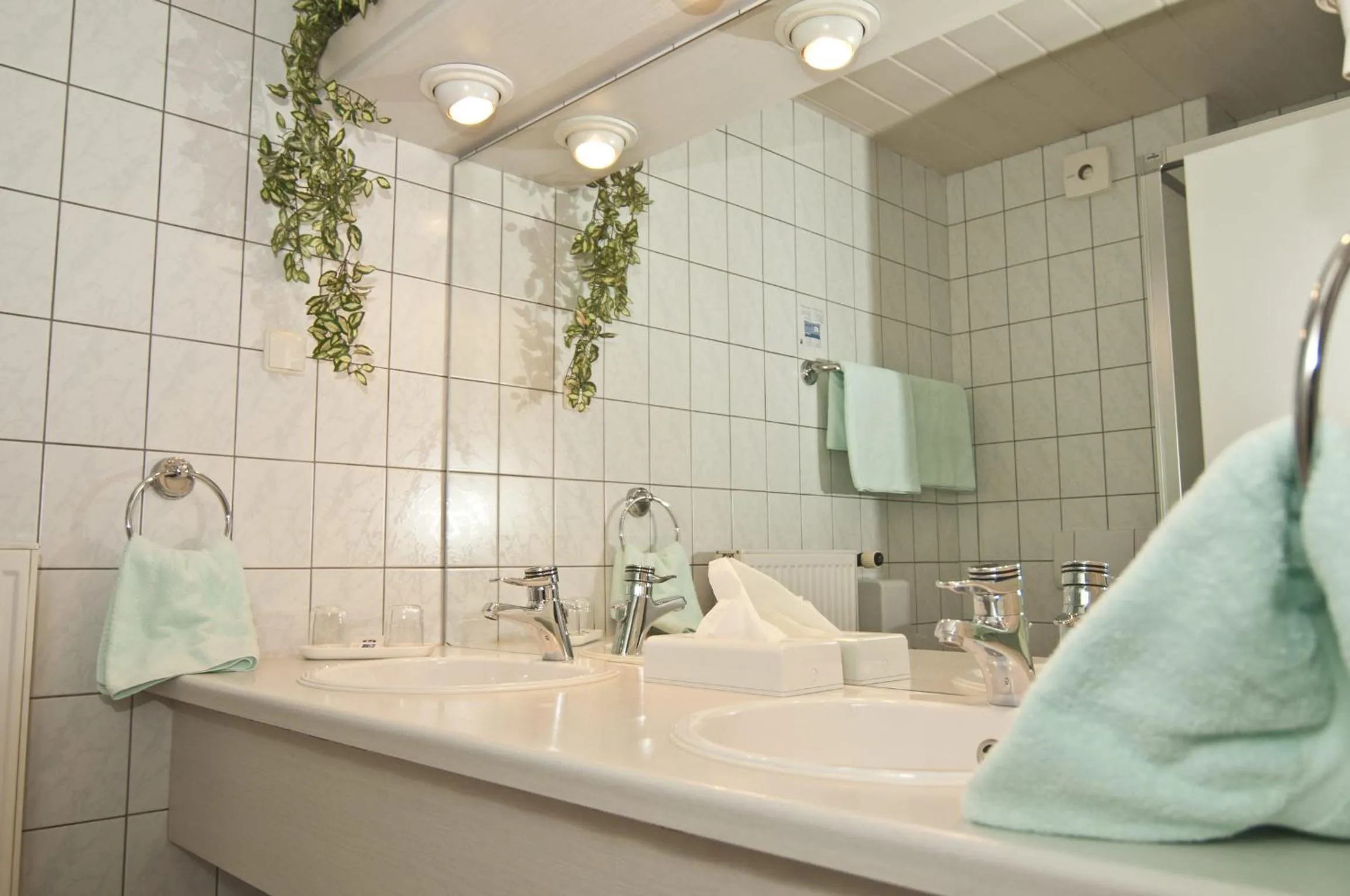 Bathroom in Hotel Hansa