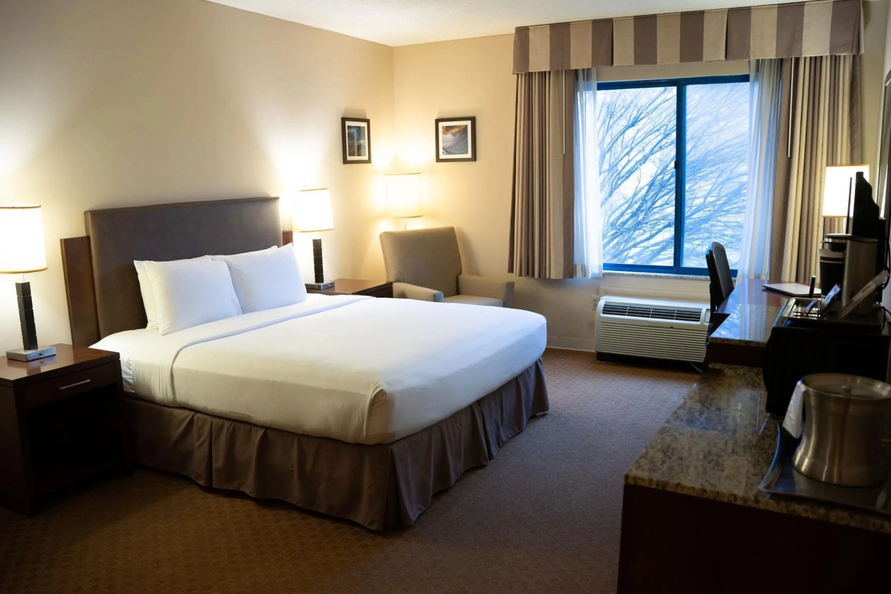 Standard King Room with Adapted Tub - Mobility and Hearing Accessible in Delta Hotels by Marriott Toledo